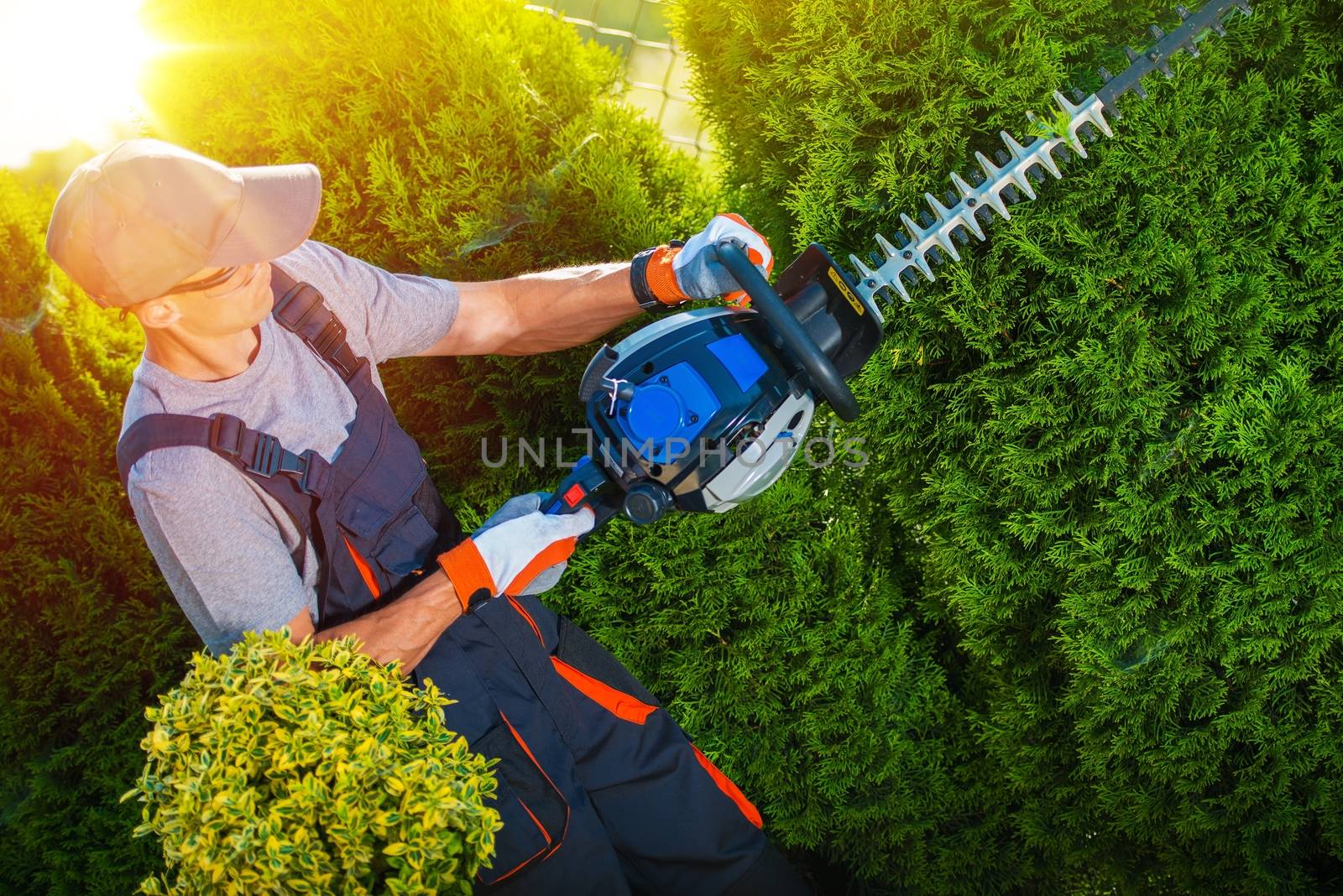 Plants Trimming Works. Gardener with Professional Gasoline Hedge Trimmer at Work.