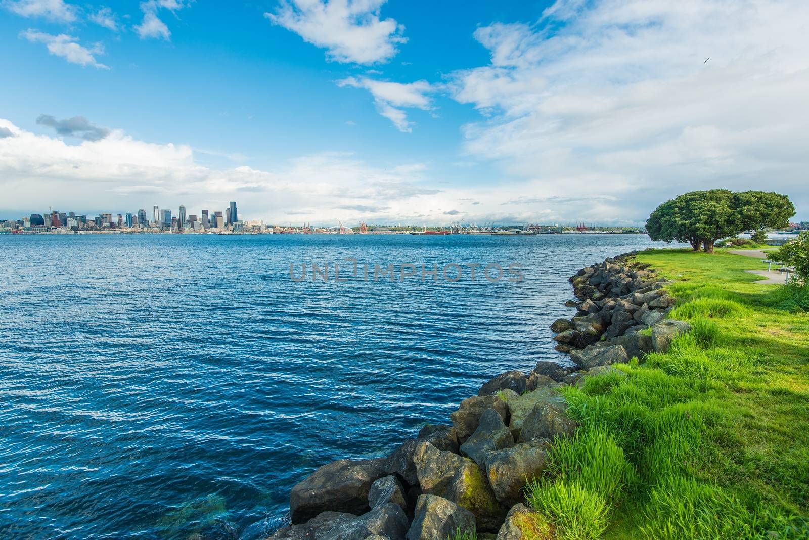 Seattle Bay and the City Skyline. Seattle, Washington, United States.