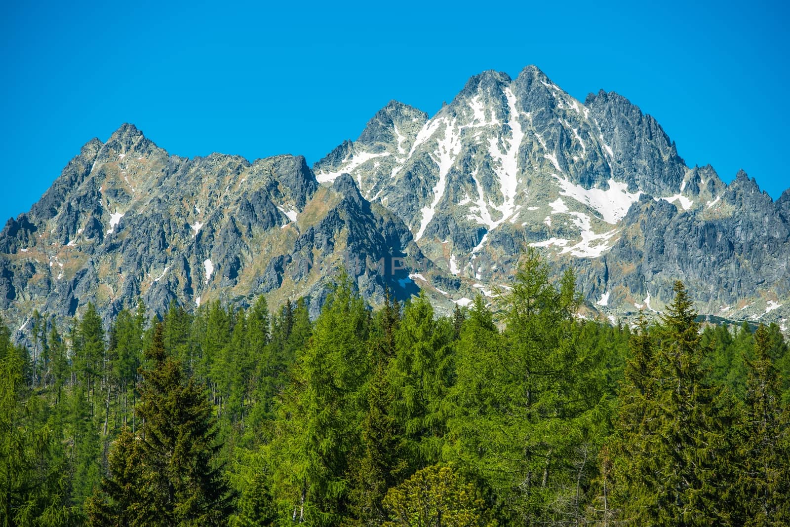 Slovakian Tatra Mountains Closeup. Summer in the Tatry Mountains. Slovakia, Europe.