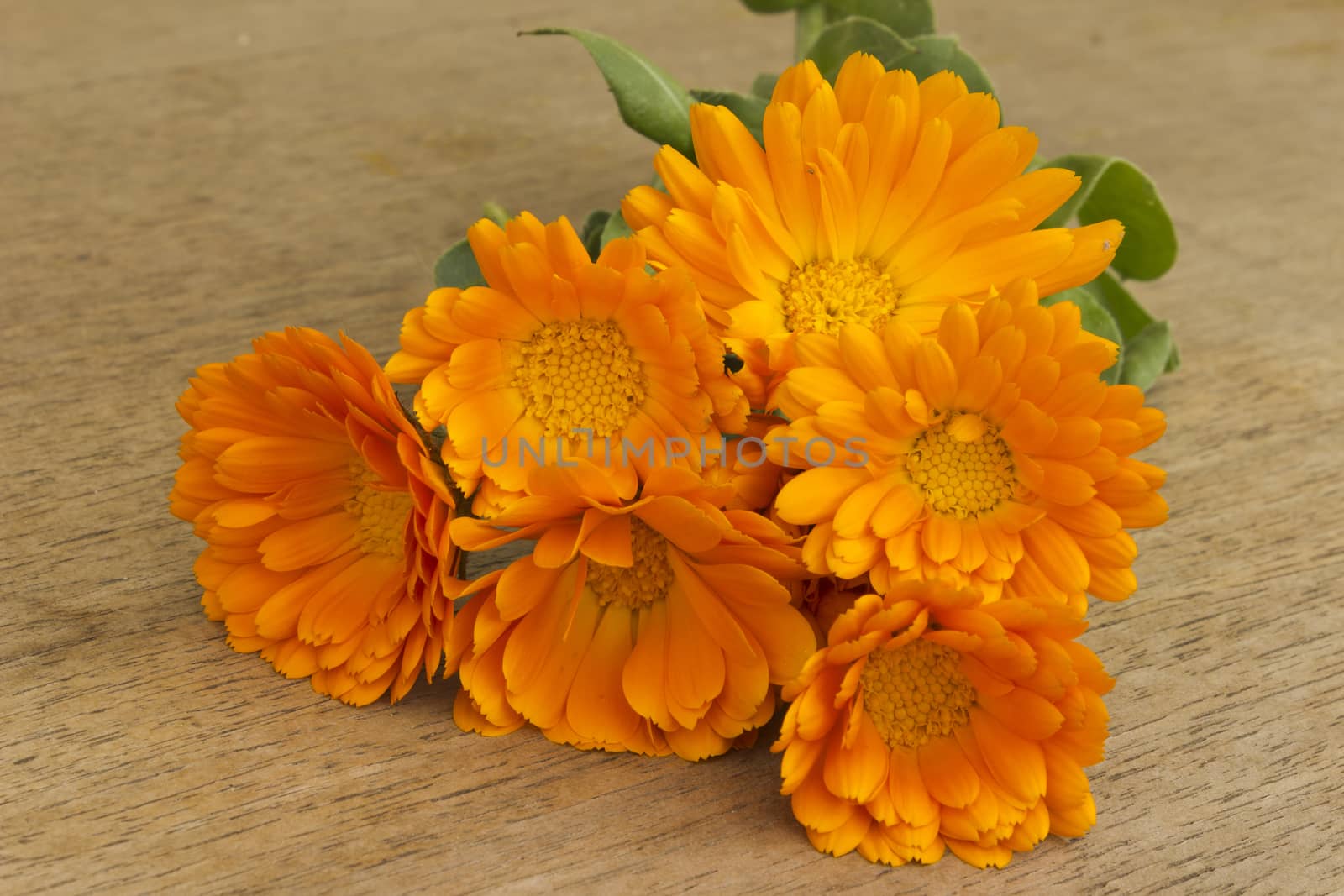 Bouquet of marigold on the wooden table