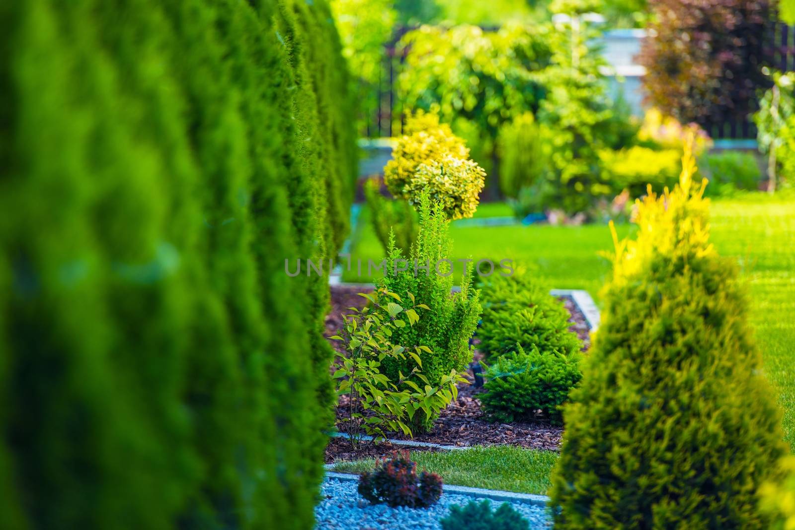 Beautiful Green Garden by welcomia