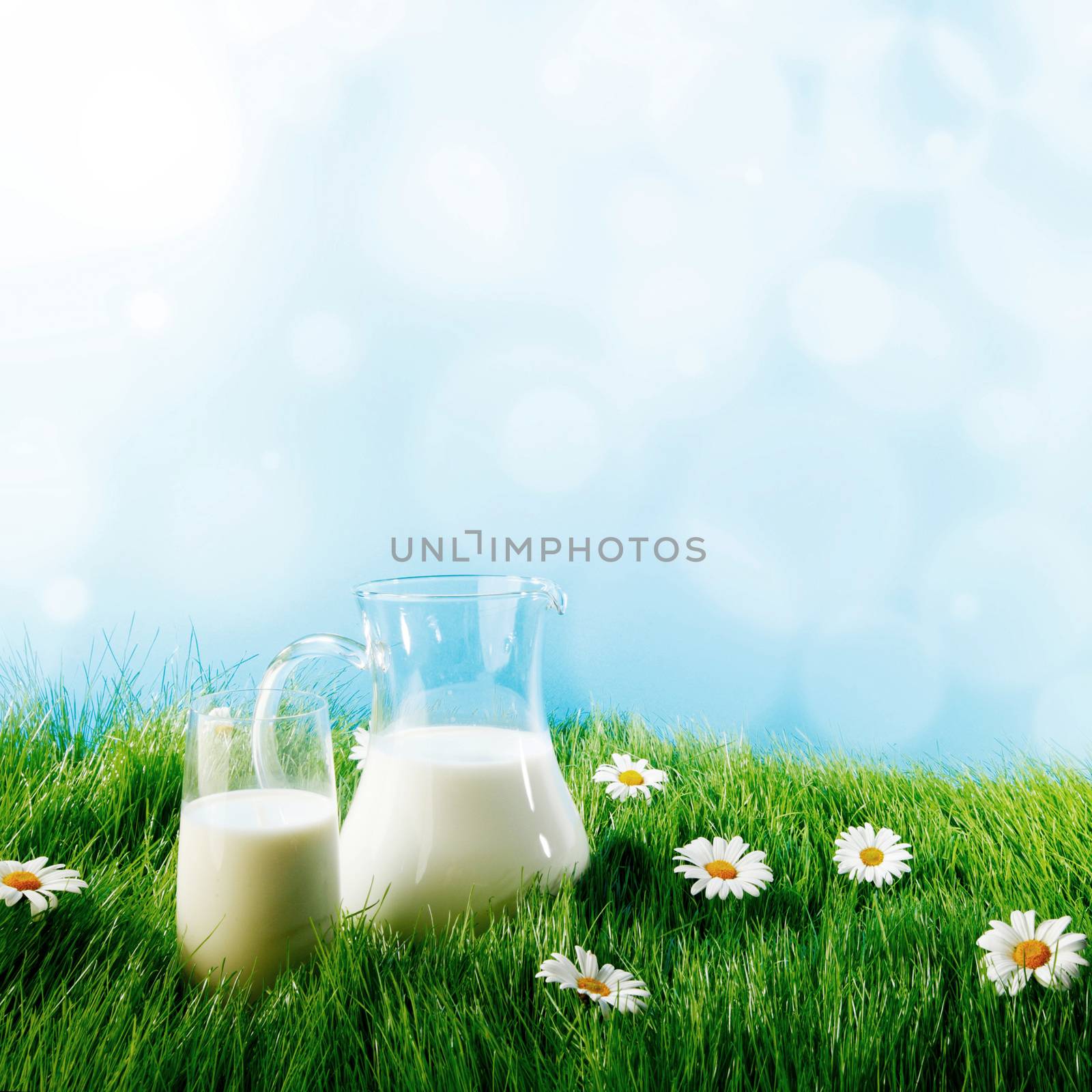 Milk jug and glass on the grass with chamomiles background