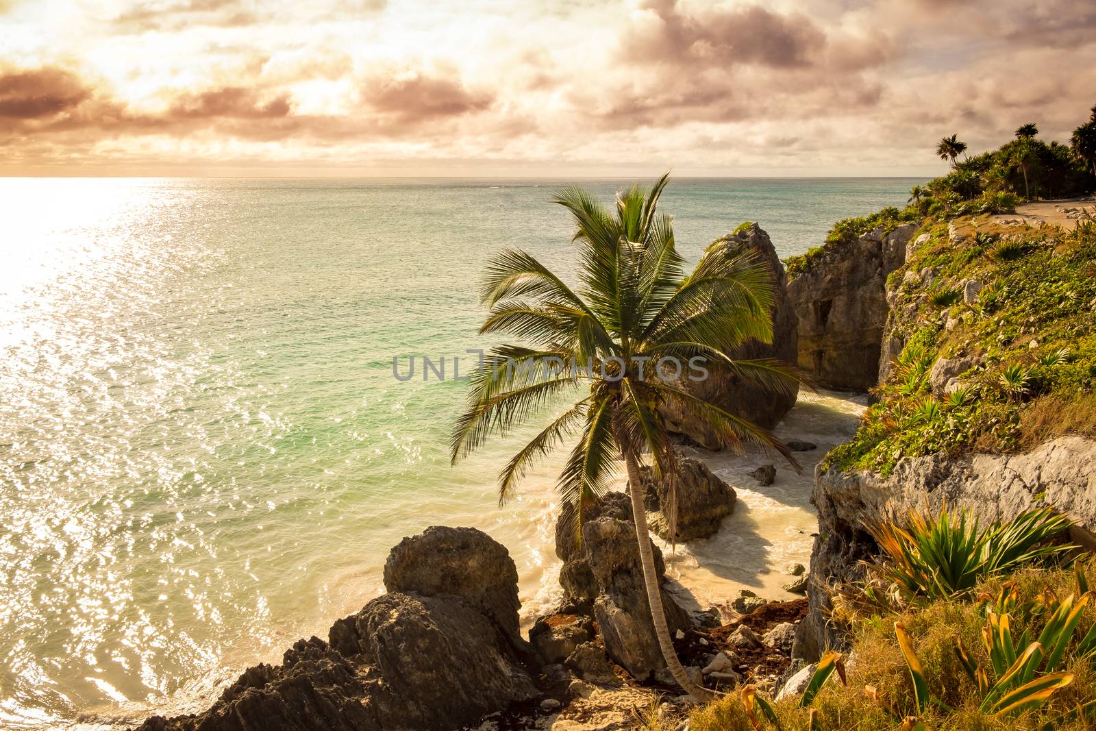 Rocky ocean coastline with beach and palm trees in filtered vintage style, near Tulum, Mexico