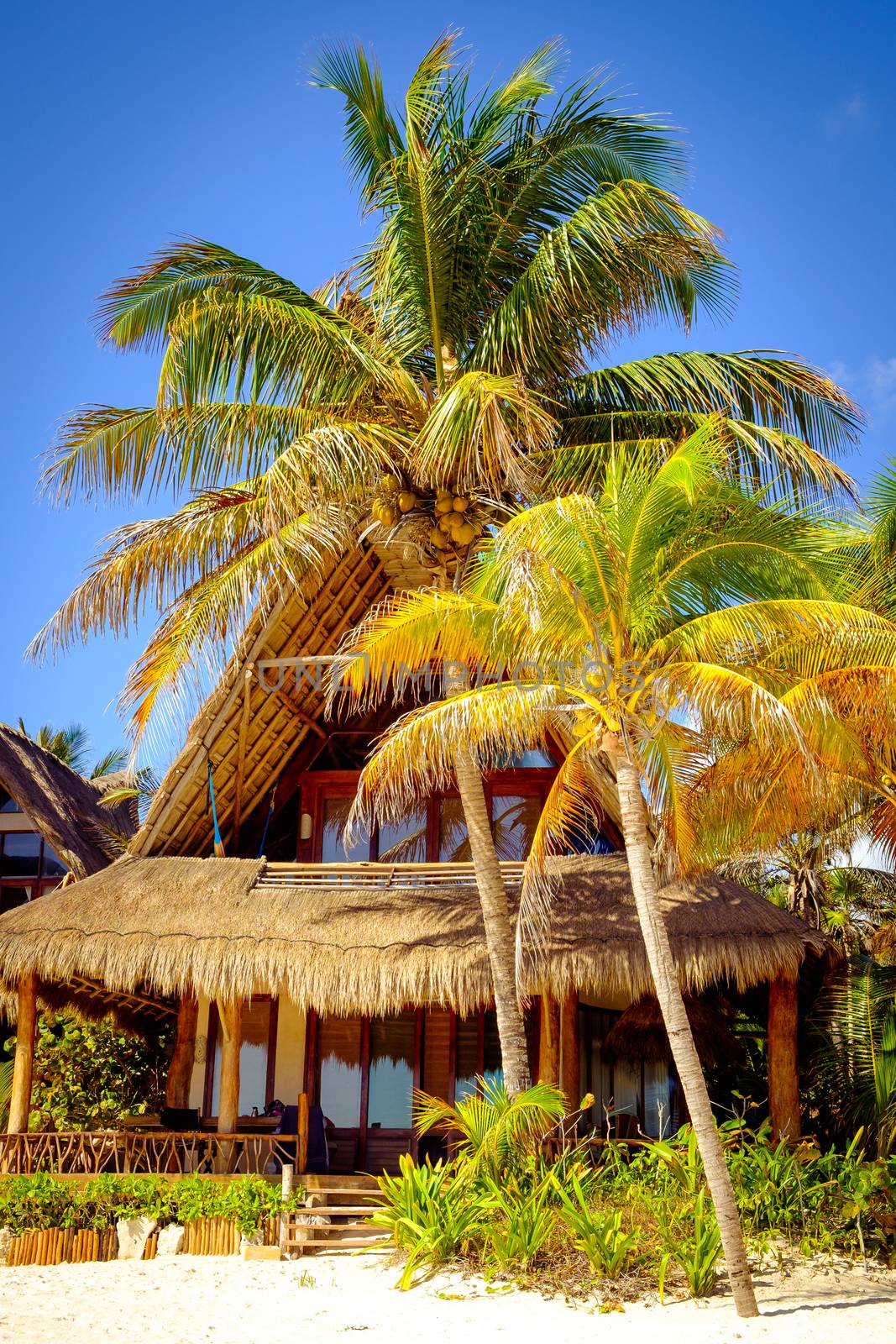 Tranquil scene of ocean coast hut and palm trees, Tulum, Mexico
