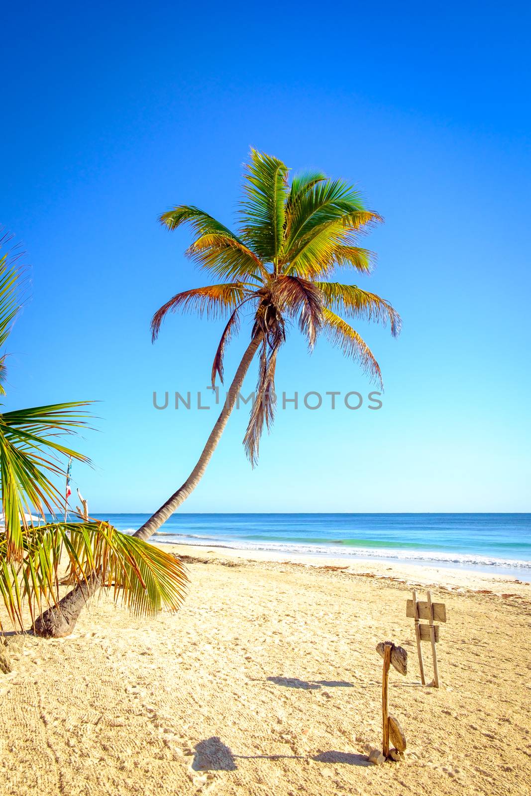 Beautiful tranquil scenic view of summer beach landscape with palm trees, Tulum, Mexico