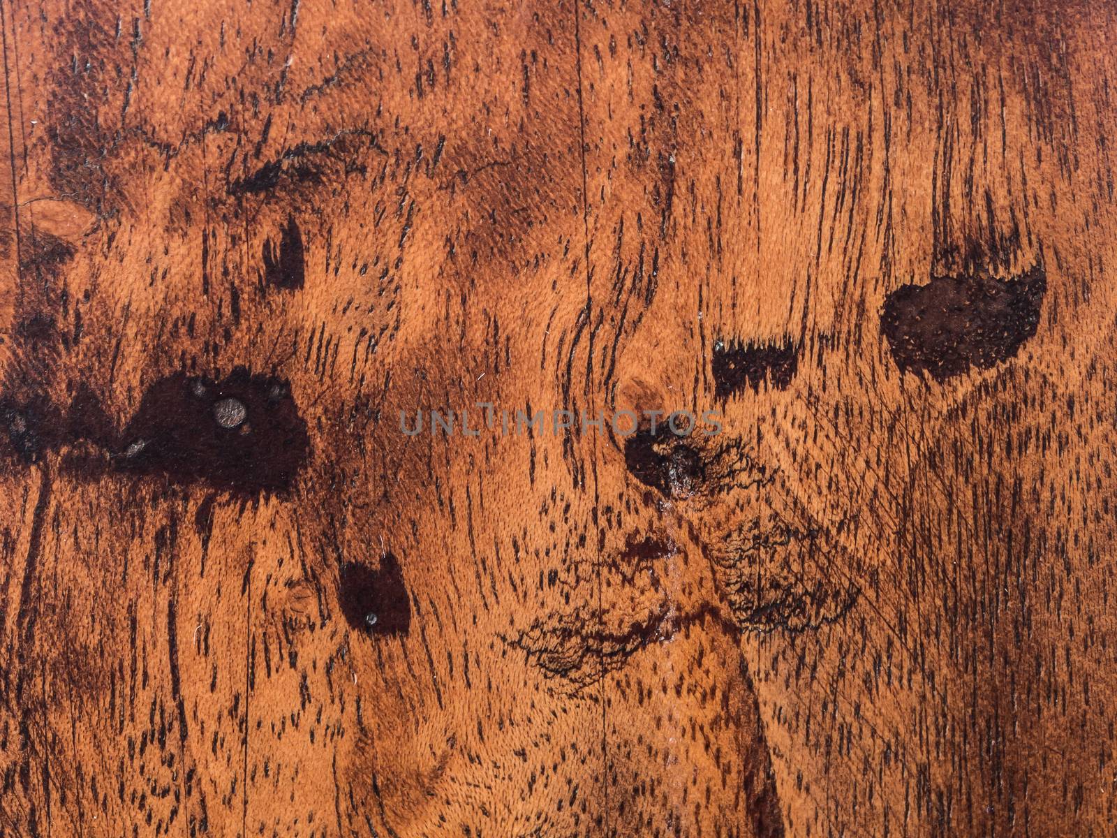 texture of wood , use for background