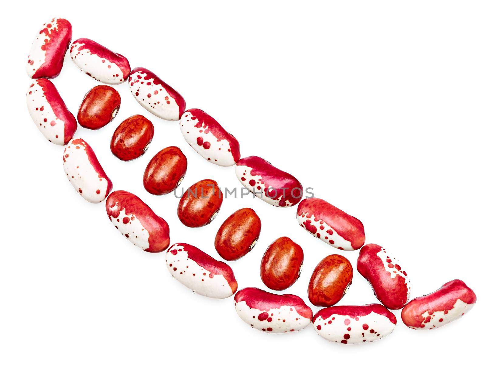 Colored Haricot in pod form, mix of beans, legumes on white background.  Food closeup