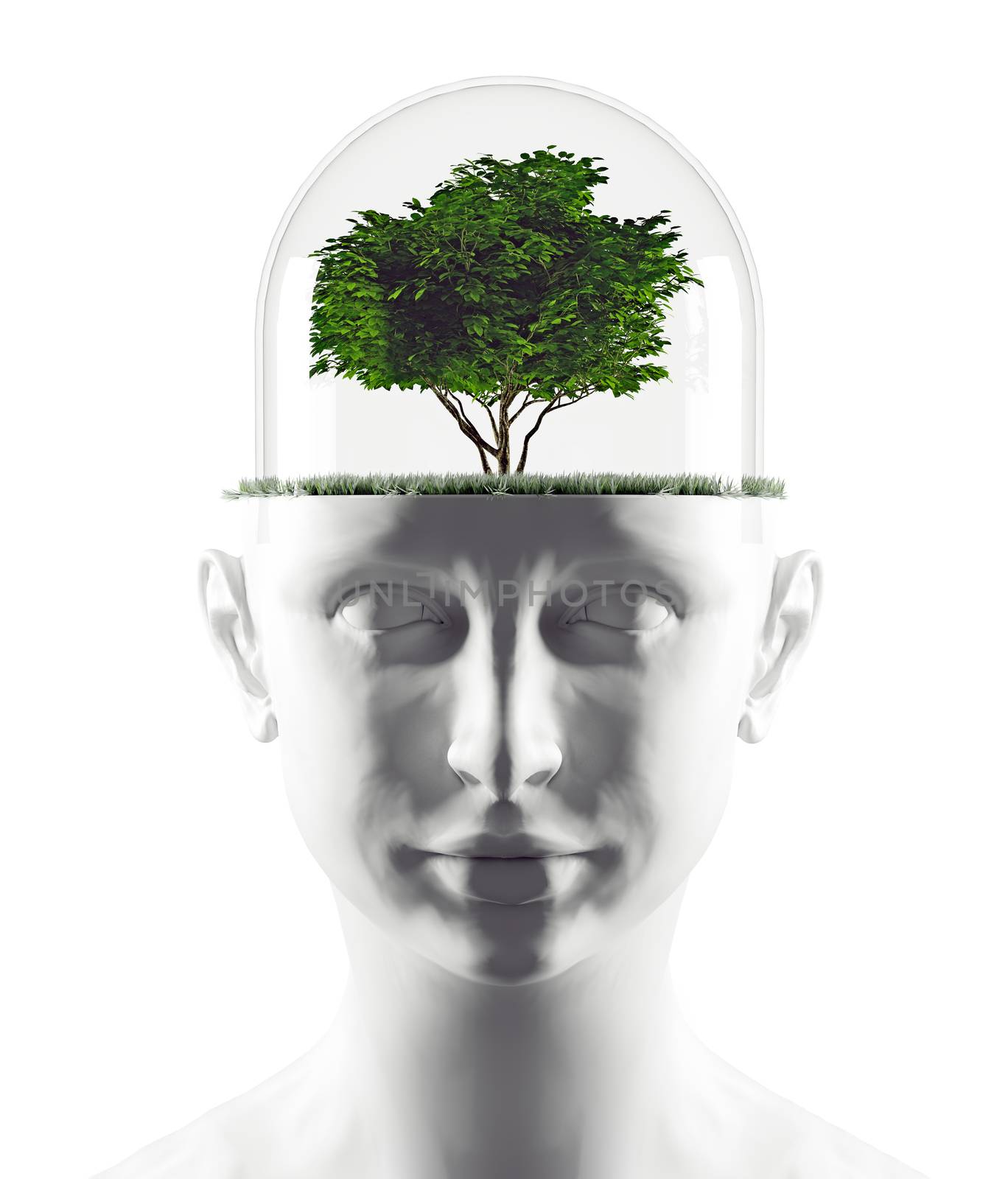  human head with tree by vicnt