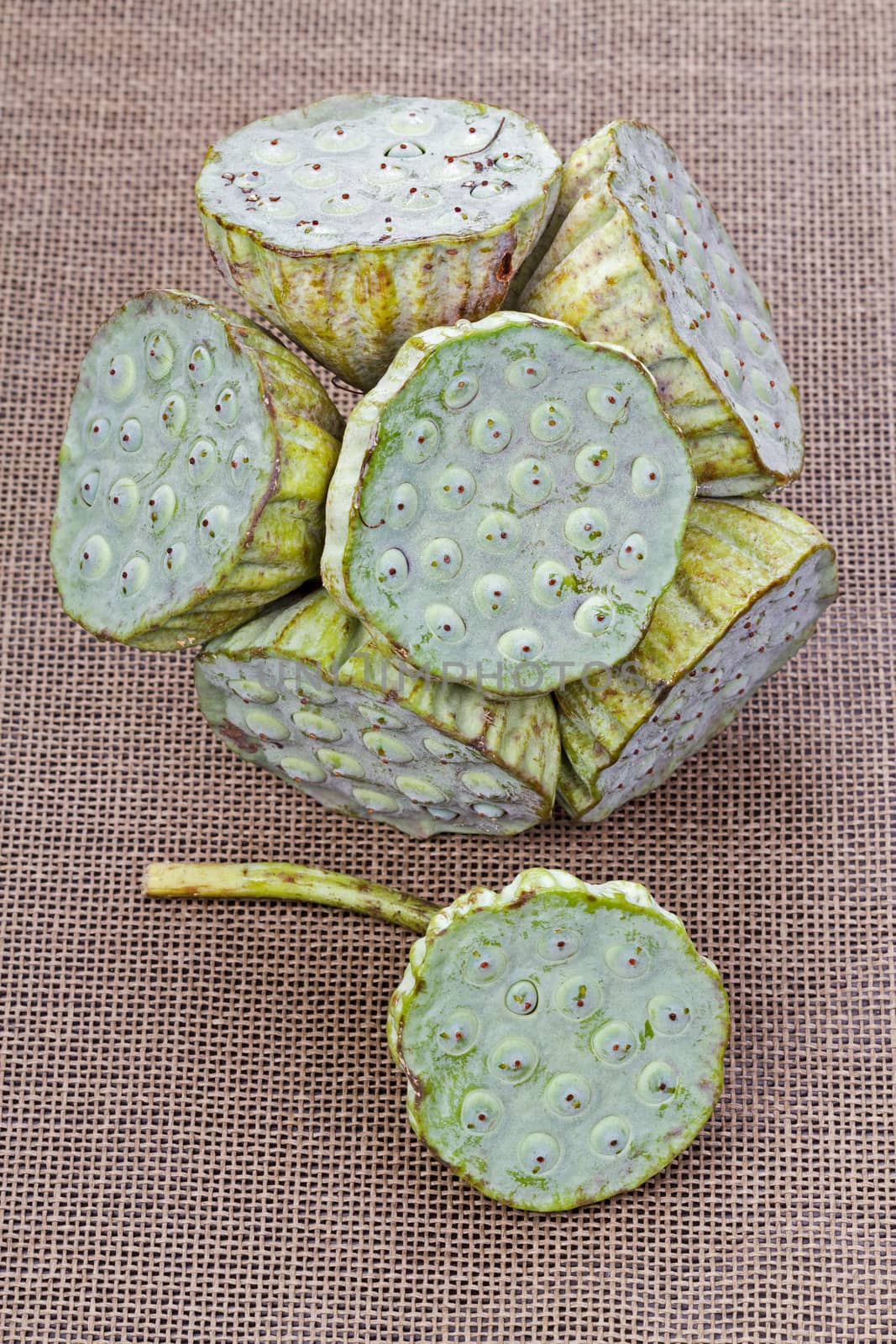 Fresh green lotus seed (lotus nut) on black plate