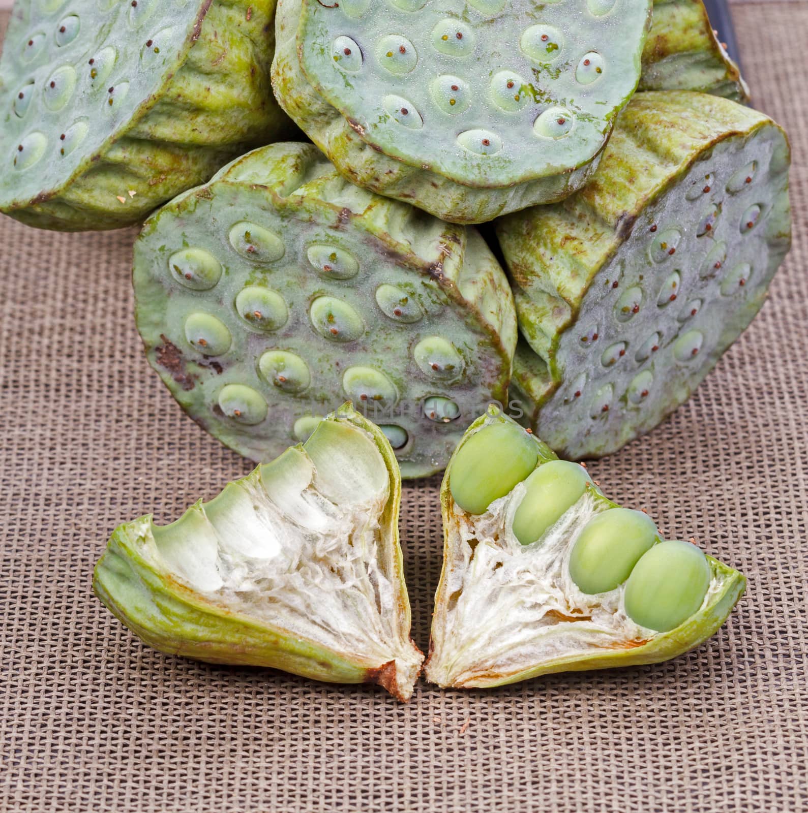 Fresh green lotus seed (lotus nut) on black plate