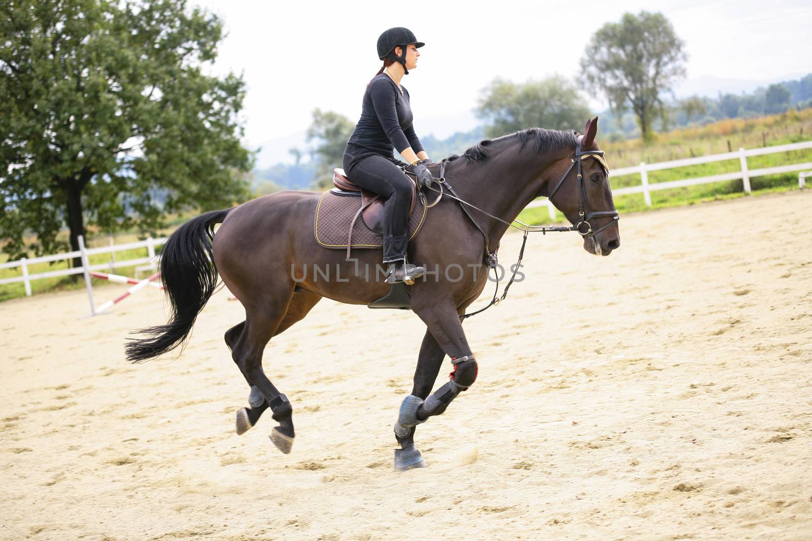 Woman Riding On Horse In Paddock
