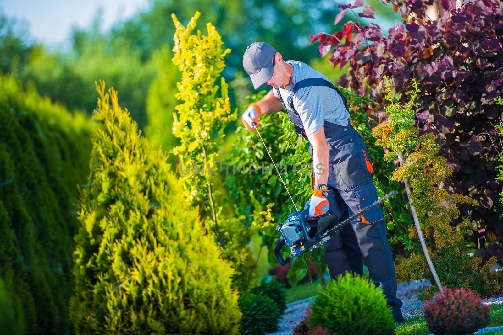 Firing Up Gasoline Hedge Trimmer by Professional Gardener. Garden Works. Trimming Hedge.