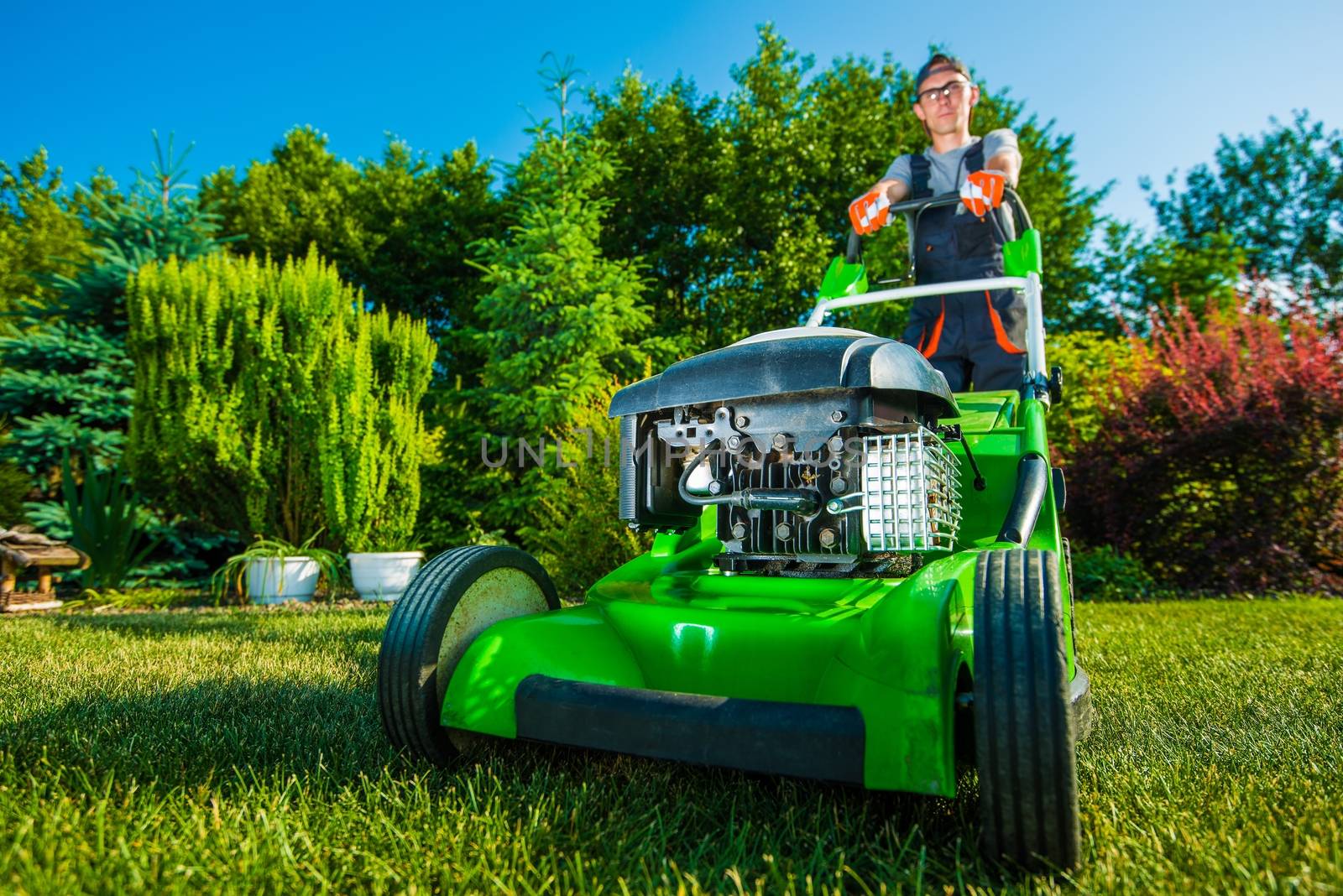 Landscaping Business. Gardener Mowing Backyard Lawn. Green Gasoline Lawn Mower