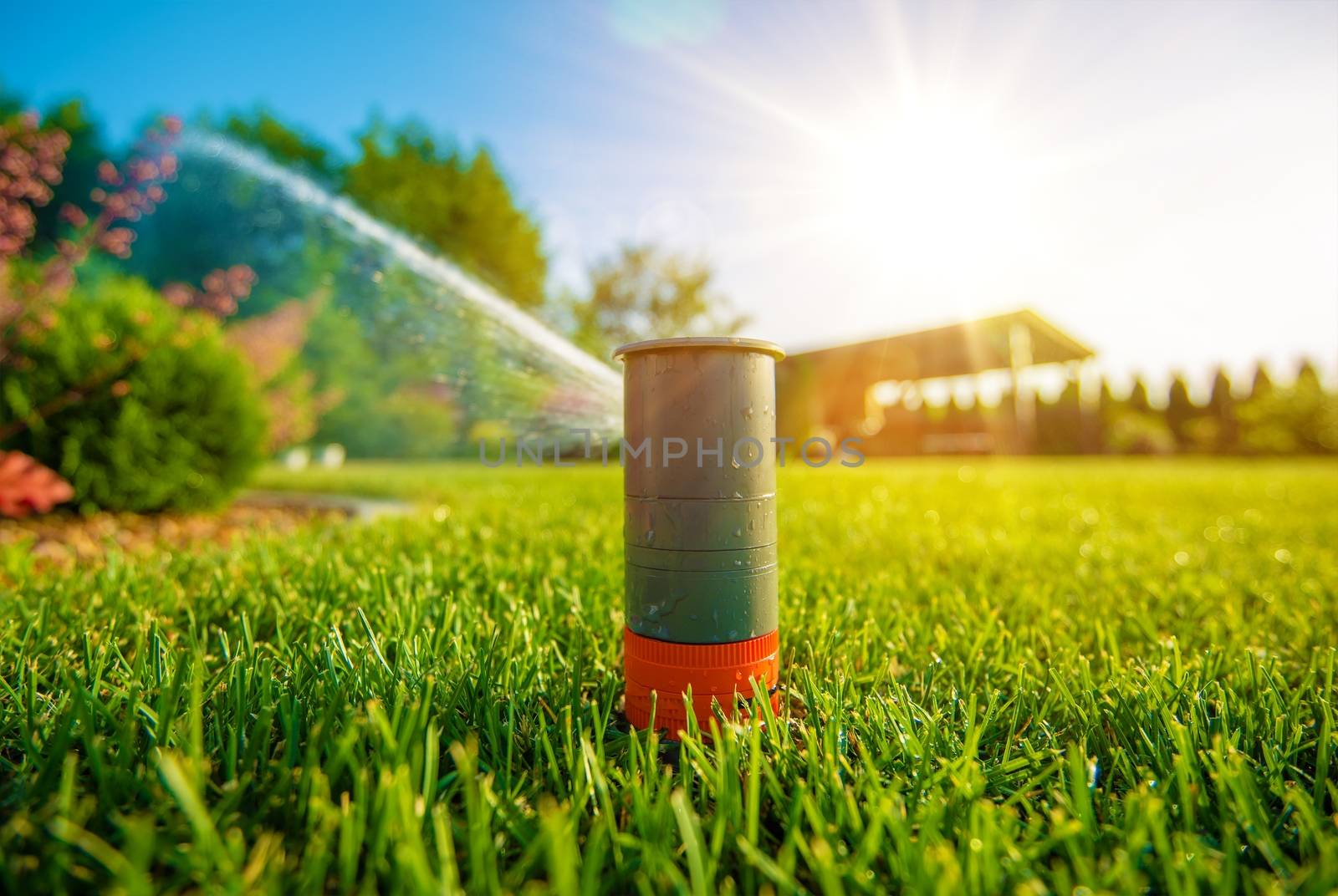 Lawn Sprinkler in Action by welcomia