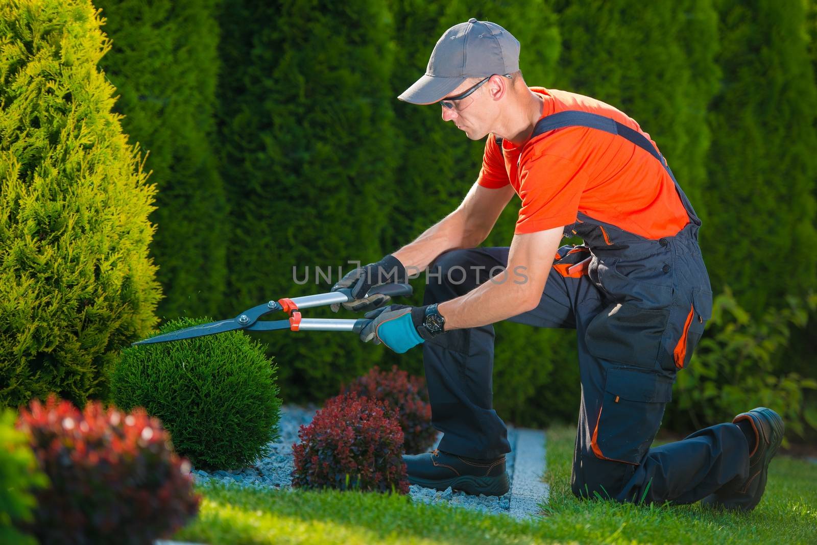 Professional Gardener at Work by welcomia