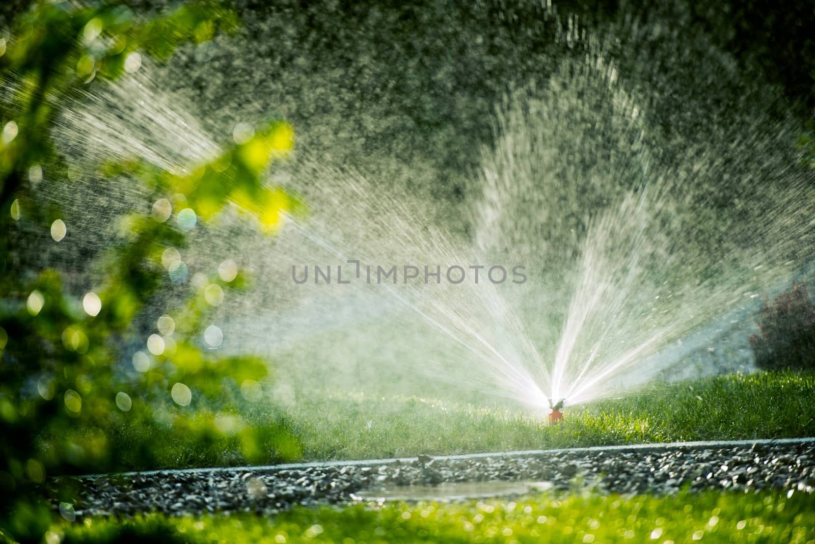 Rotating Lawn Sprinkler by welcomia