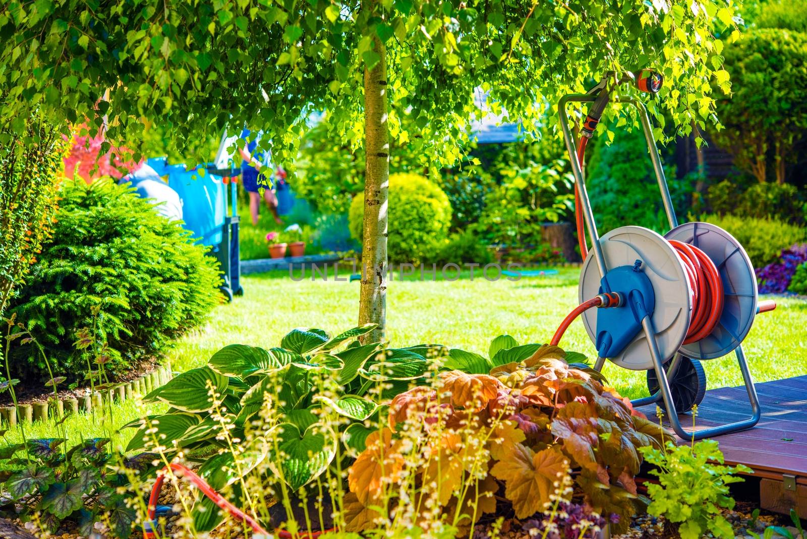 Sunny Backyard Garden by welcomia