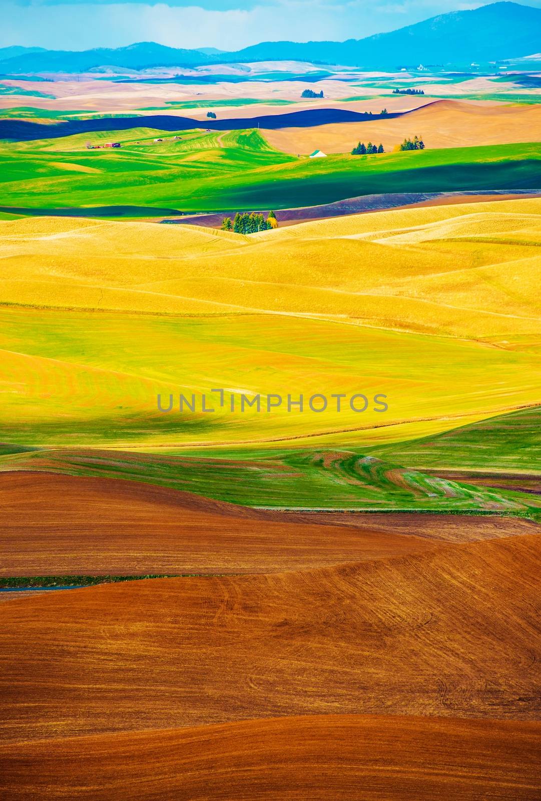 Colorful Butted Farmlands by welcomia
