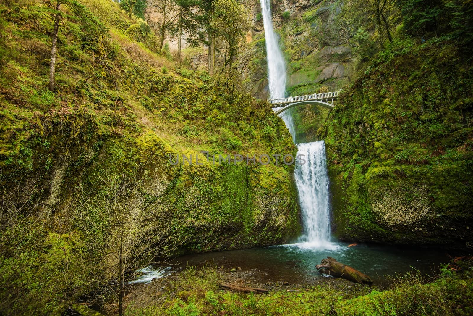 Famous Oregon Multnomah Falls near Portland, Oregon, United States. Waterfalls  in Columbia River Gorge Area.