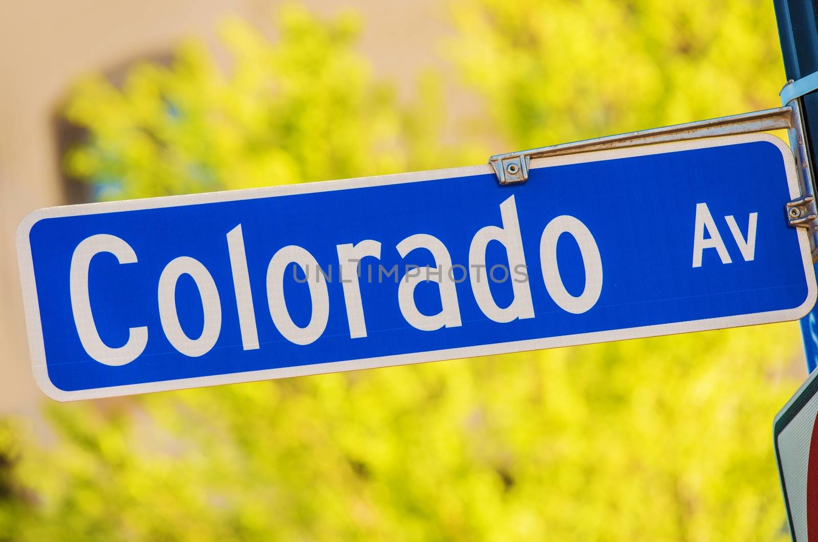 Colorado Avenue Street Sign on a Pole. Colorado Concept.