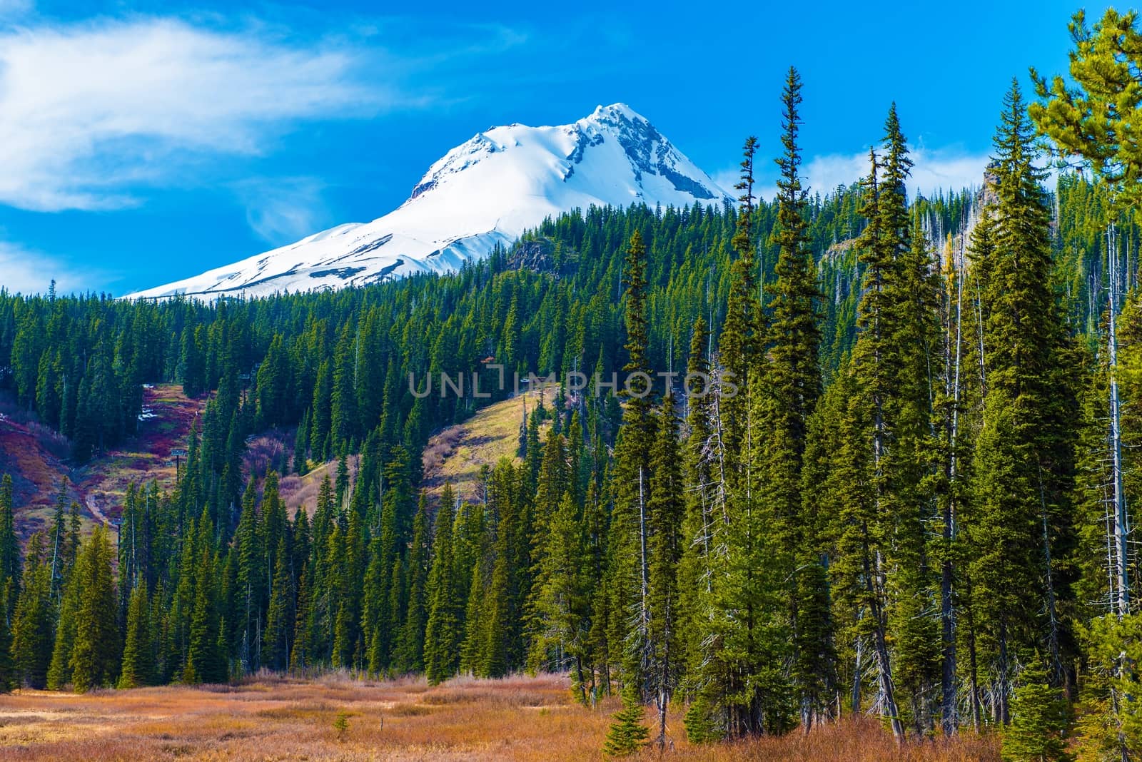 Snowy Peak of Mount Hood in the Cascade Volcanic Arc of Northern Oregon, United States. Oregon Landscape.