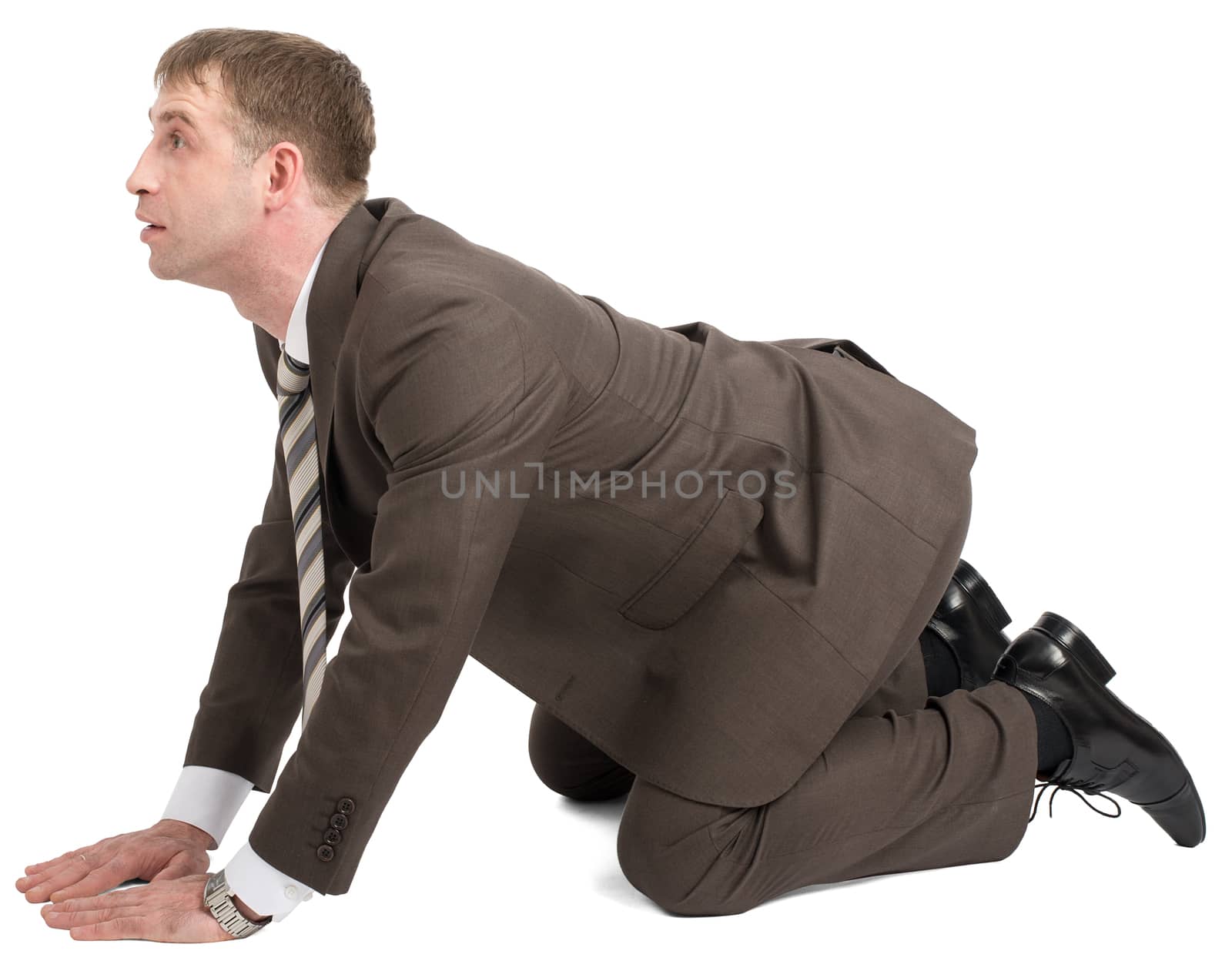 Businessman on knees and arms looking forward isolated on white background