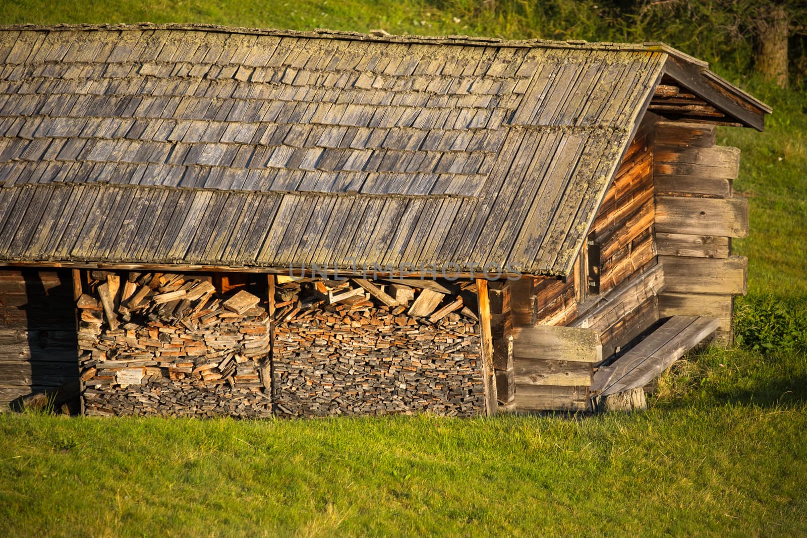 Alpine hut on alpine pasture, Alpe di Siusi, Italy by fisfra