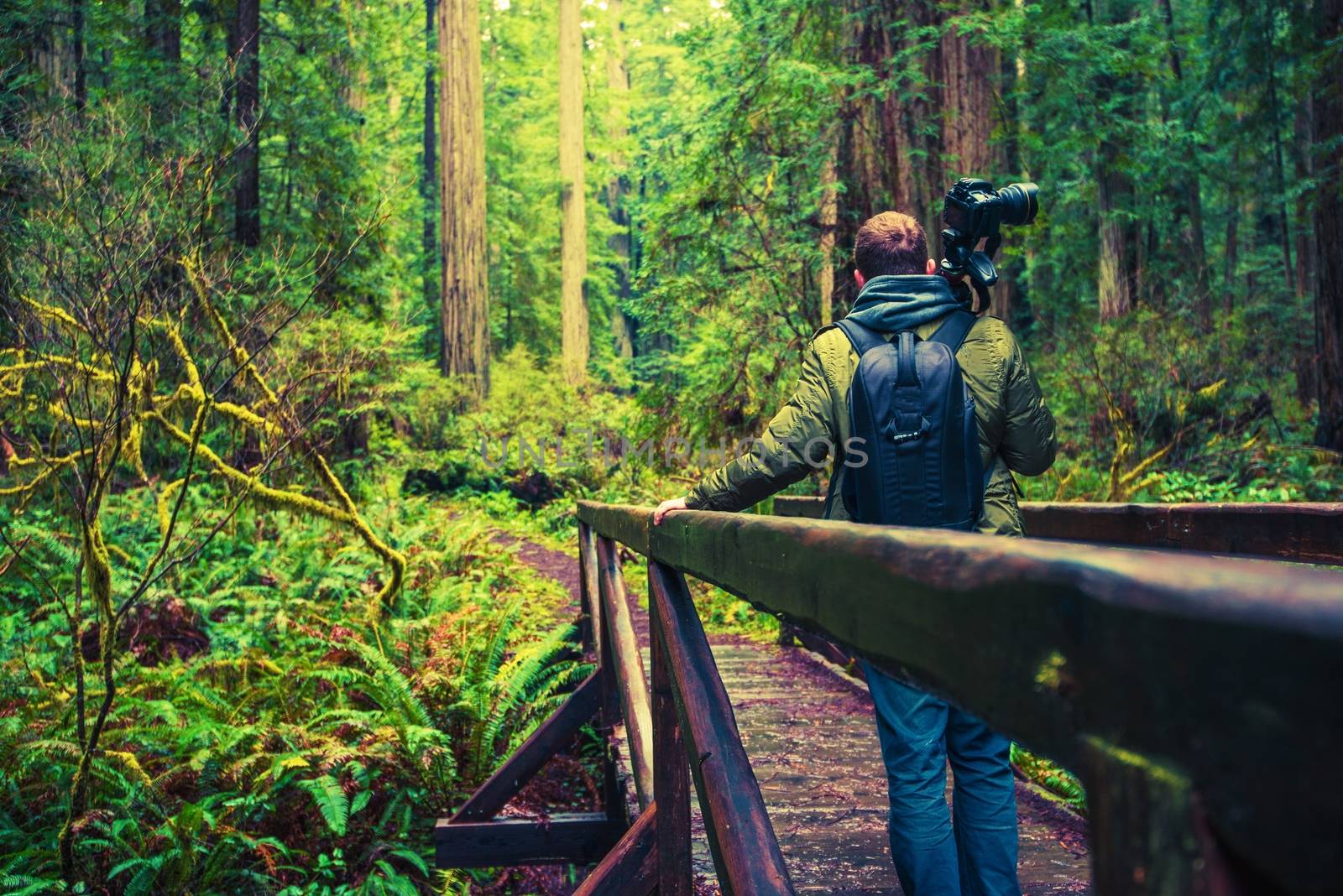 Professional Nature Photographer on Hike with His Photography Equipment. 