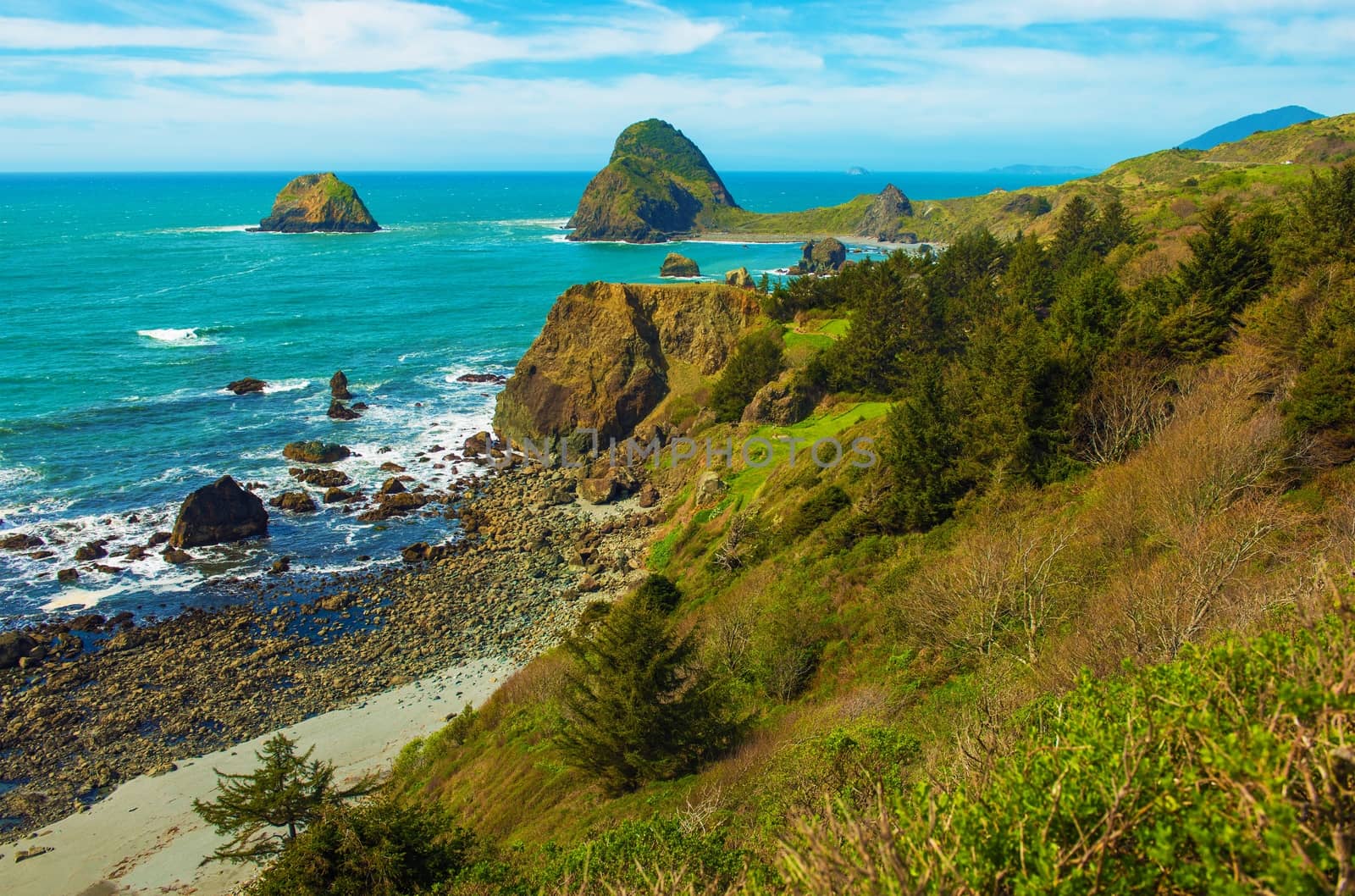Oregon Pacific Coast by welcomia