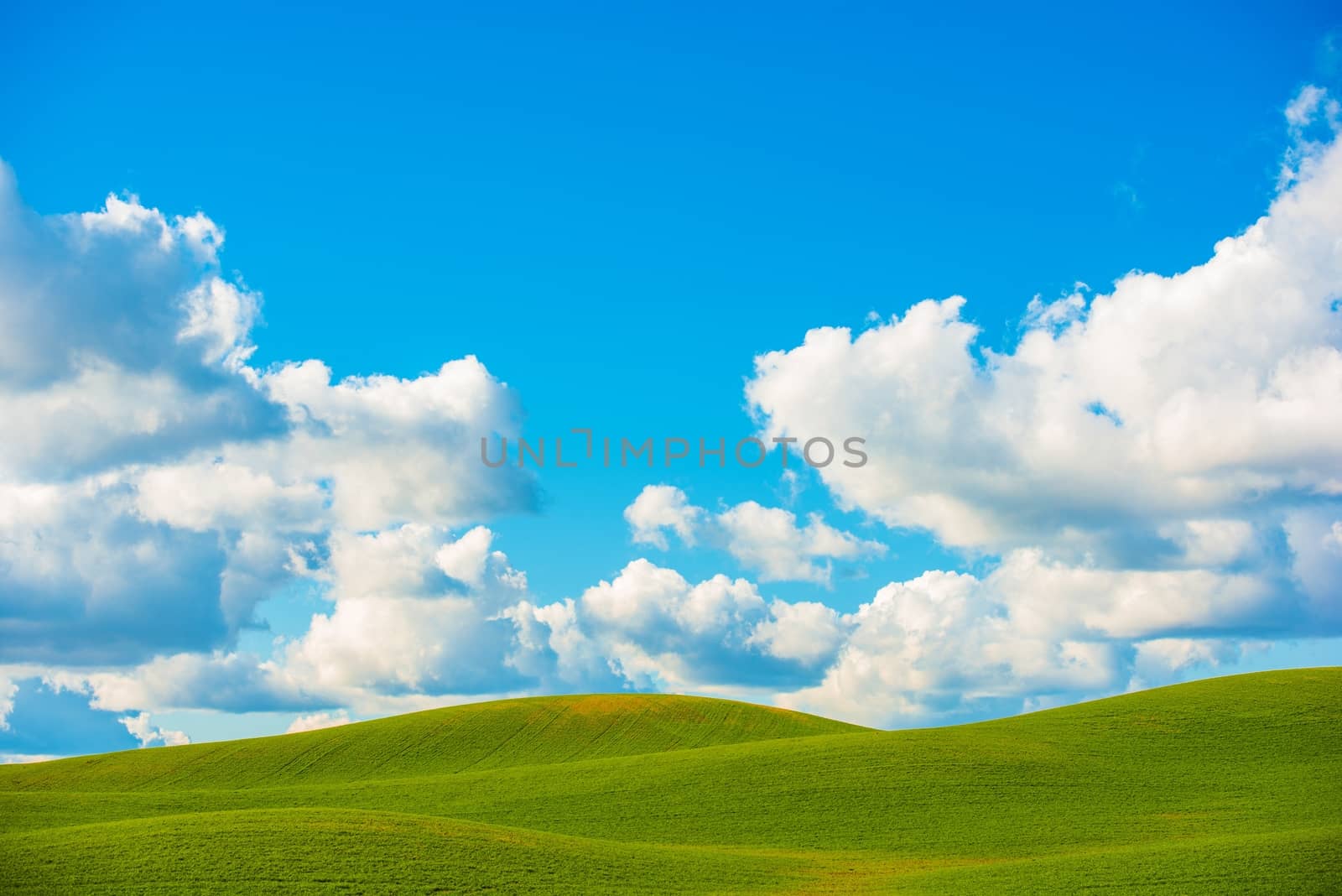 Scenic Meadow Photo Background. Green Beautiful Meadow Buttes and the Cloudy Blue Sky Photo Backdrop. 