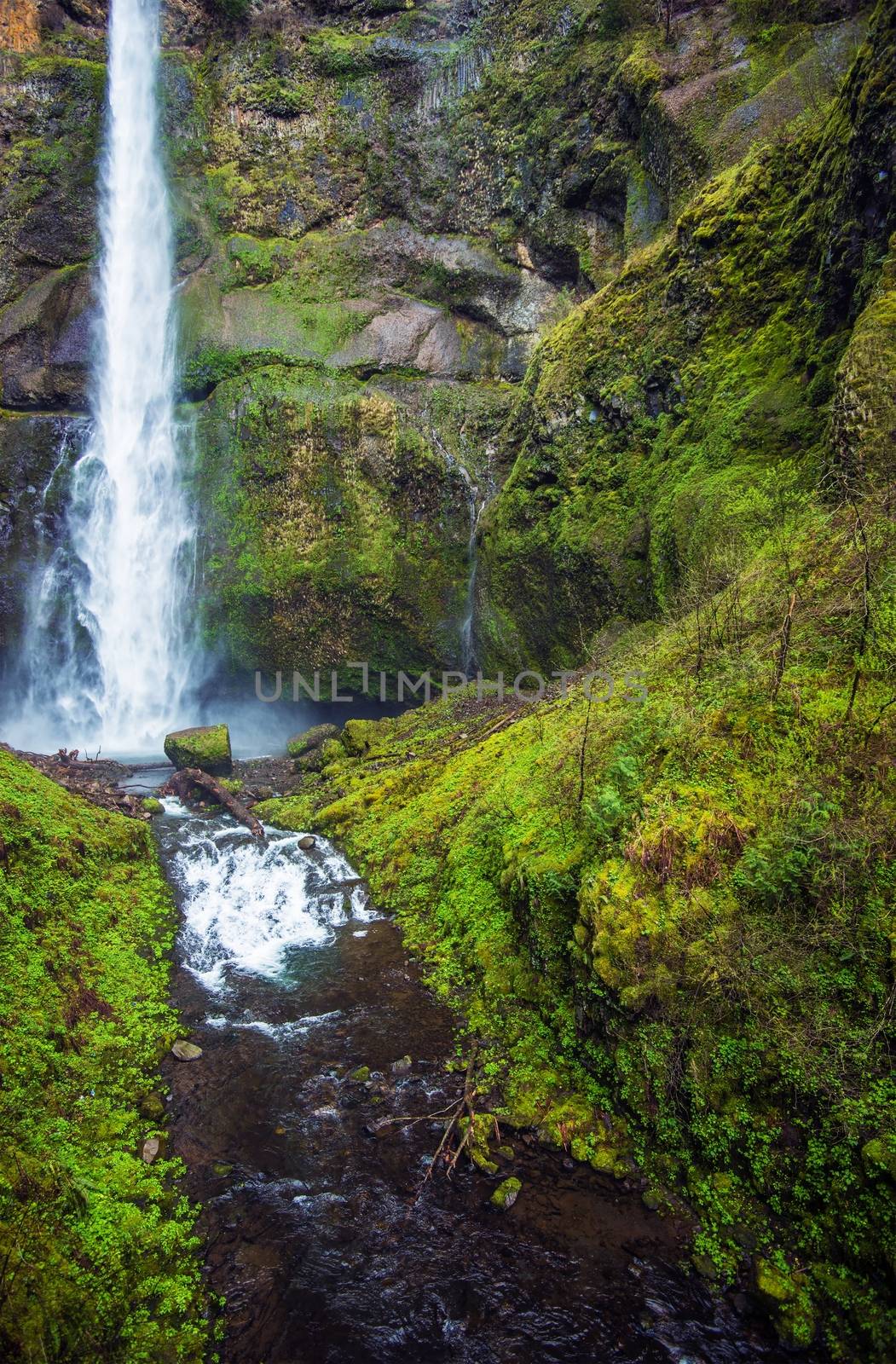 Scenic Oregon Waterfallls by welcomia