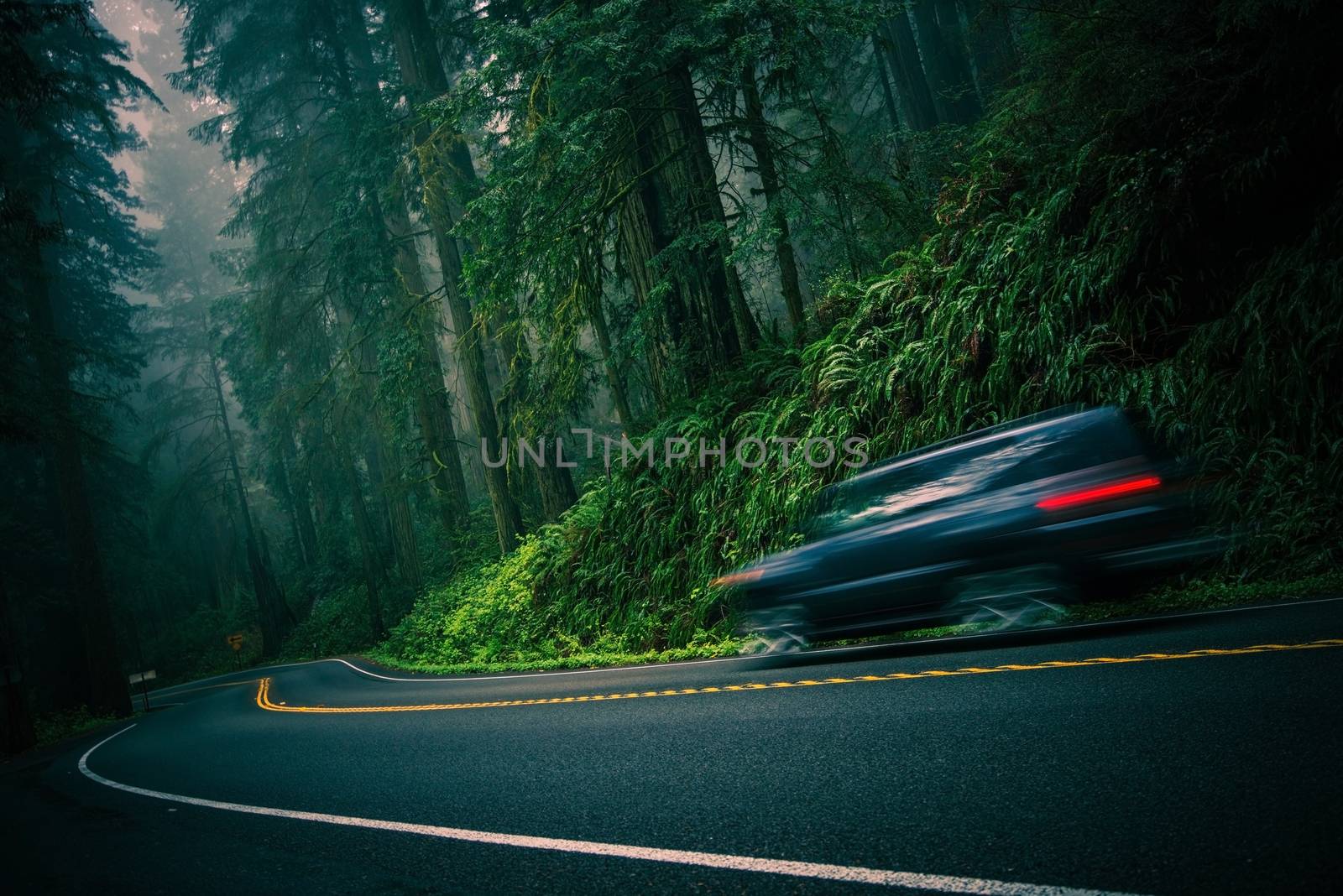 California 101 Foggy Redwood Highway and Speeding Car. Crescent City, California, United States.