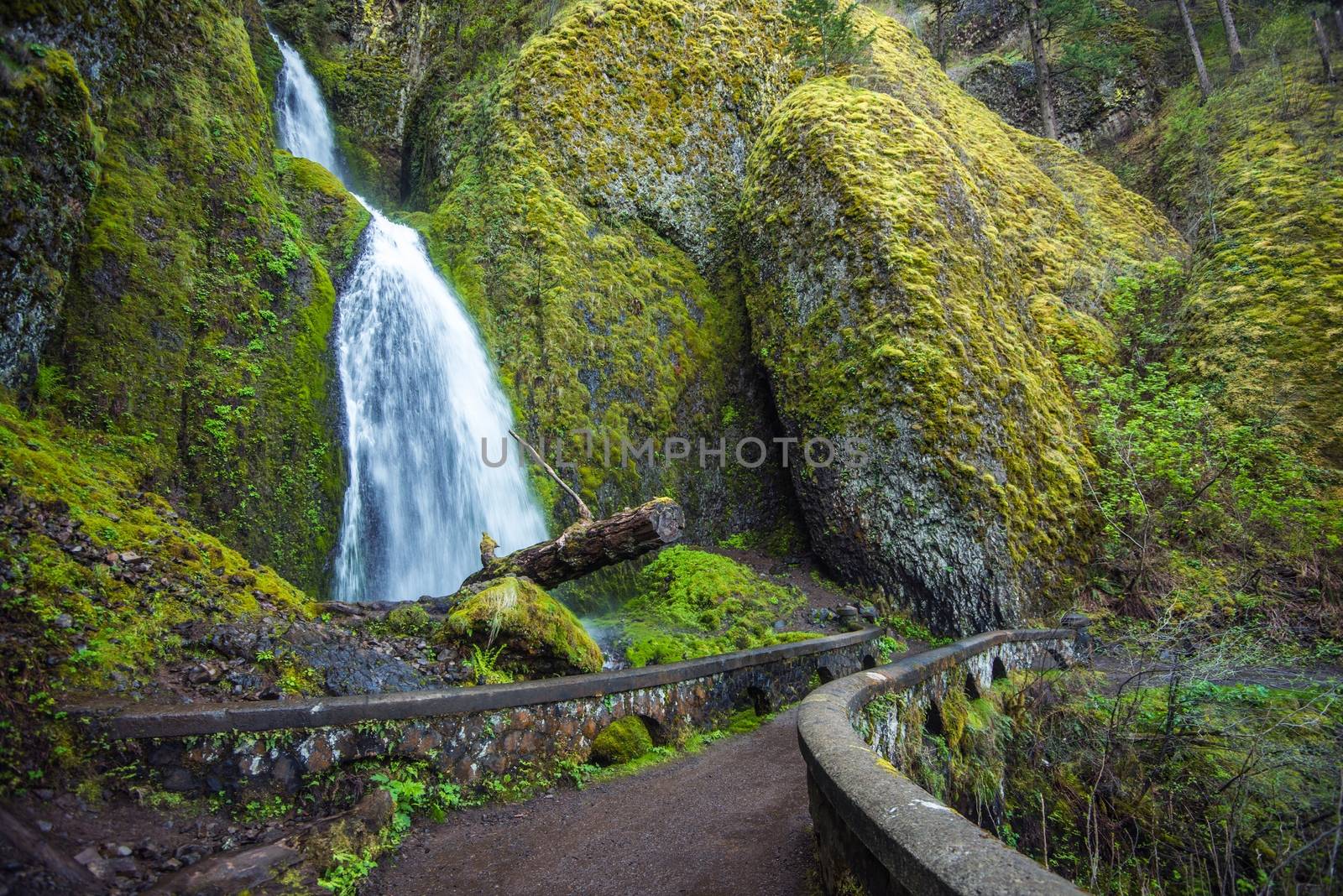 Scenic Oregon Waterfall, Mossy Creek and the Bridge. Columbia River Gorge Landscape, Oregon, United States.