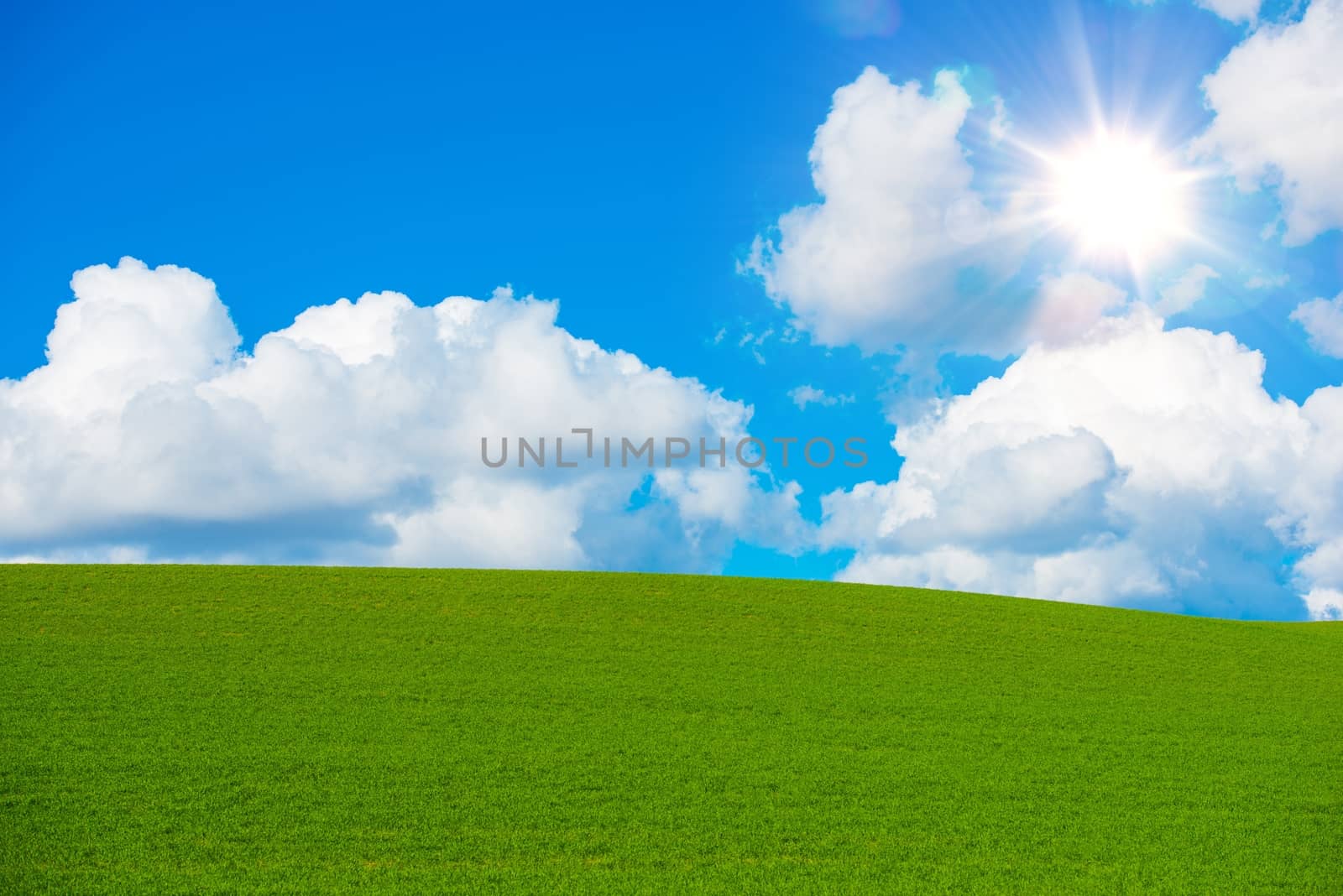 Sunny Summer Field Background. Summer Green Hills and Cloudy Blue Sky. Scenic Nature Landscape Background.