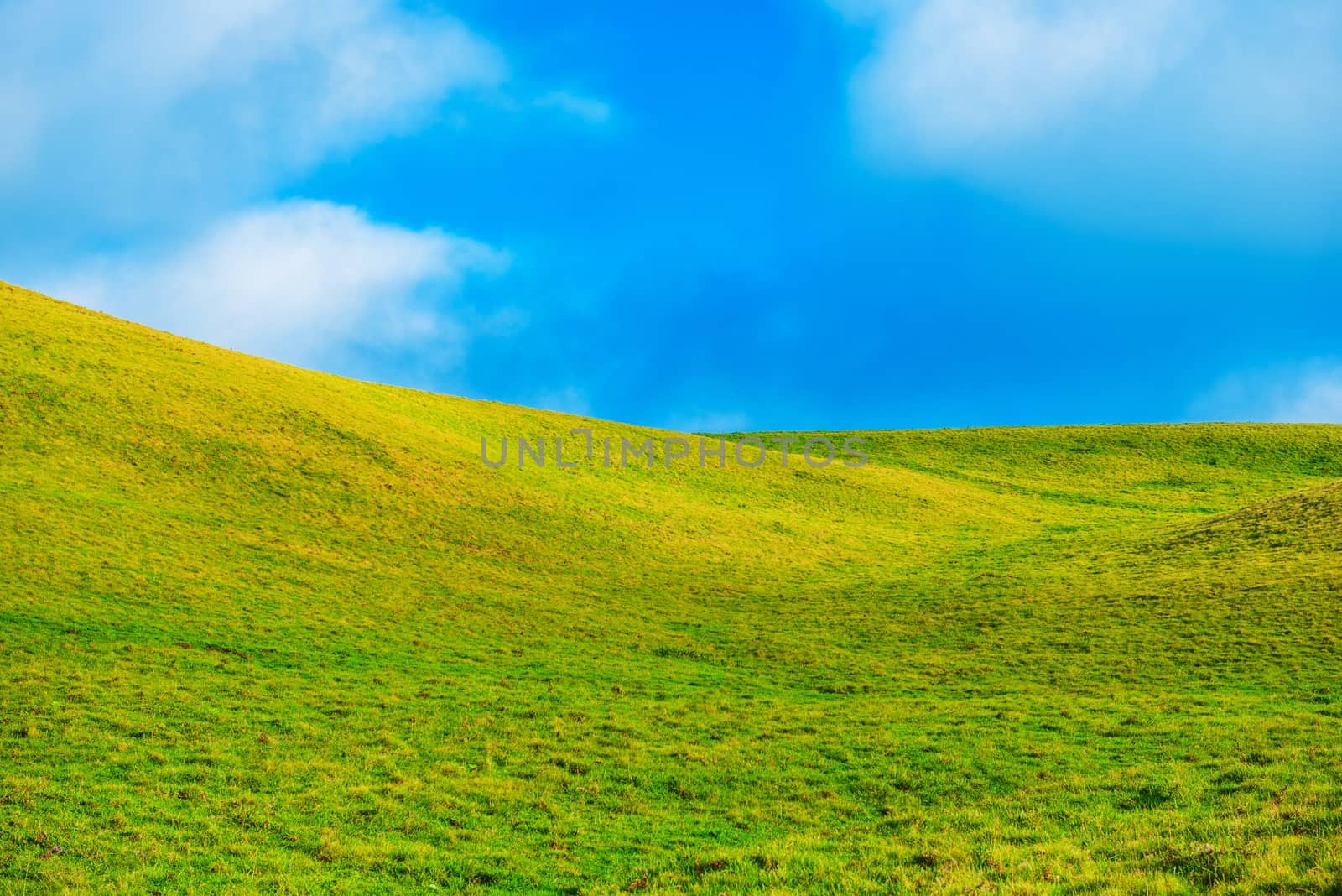 Green Summer Hills. Scenic Green Meadow and Cloudy Blue Sky Landscape.