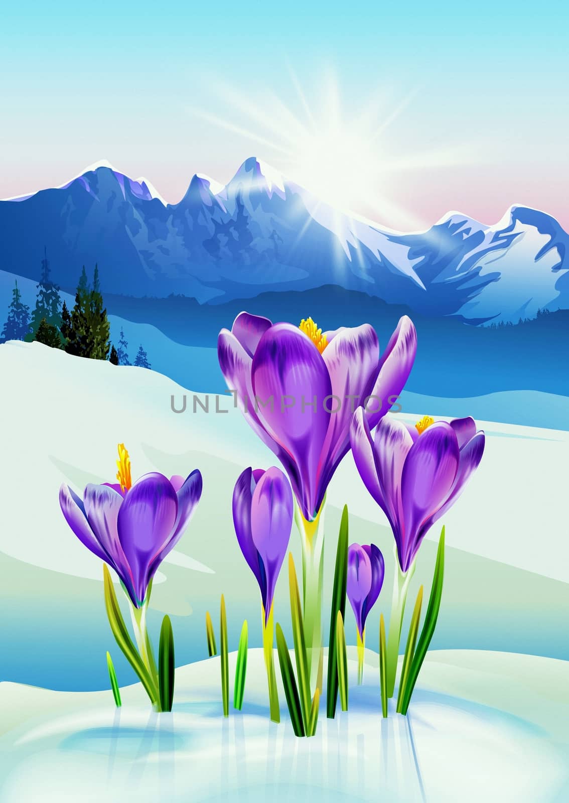 Spring in the Mountains Illustration. Crocus Flowers and the Winter Mountain Landscape. Signs of Coming Spring
