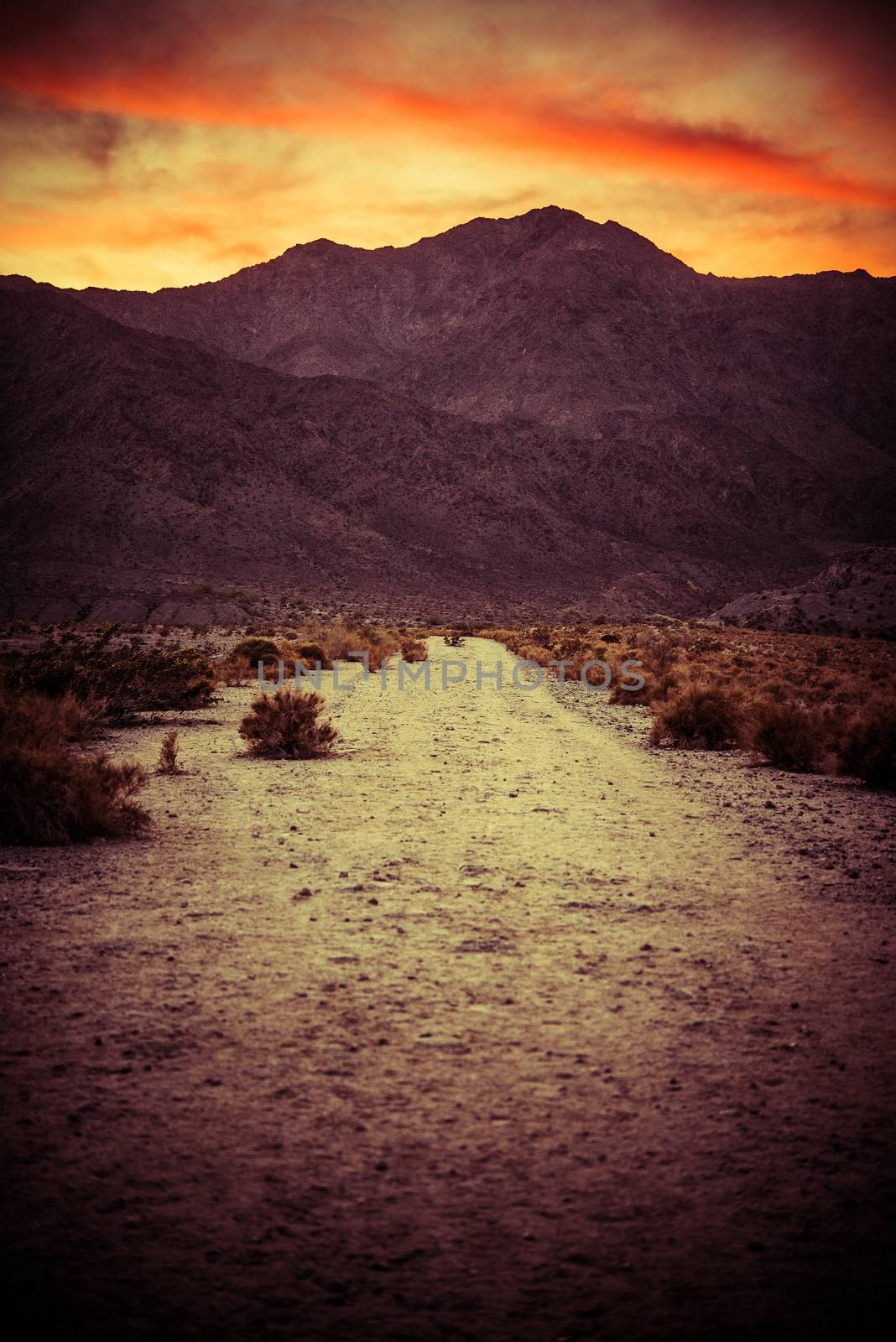 Scenic Desert Trail at Sunset. Coachella Valley Area. La Quinta, California, United States. Colorful Desert Sunset.