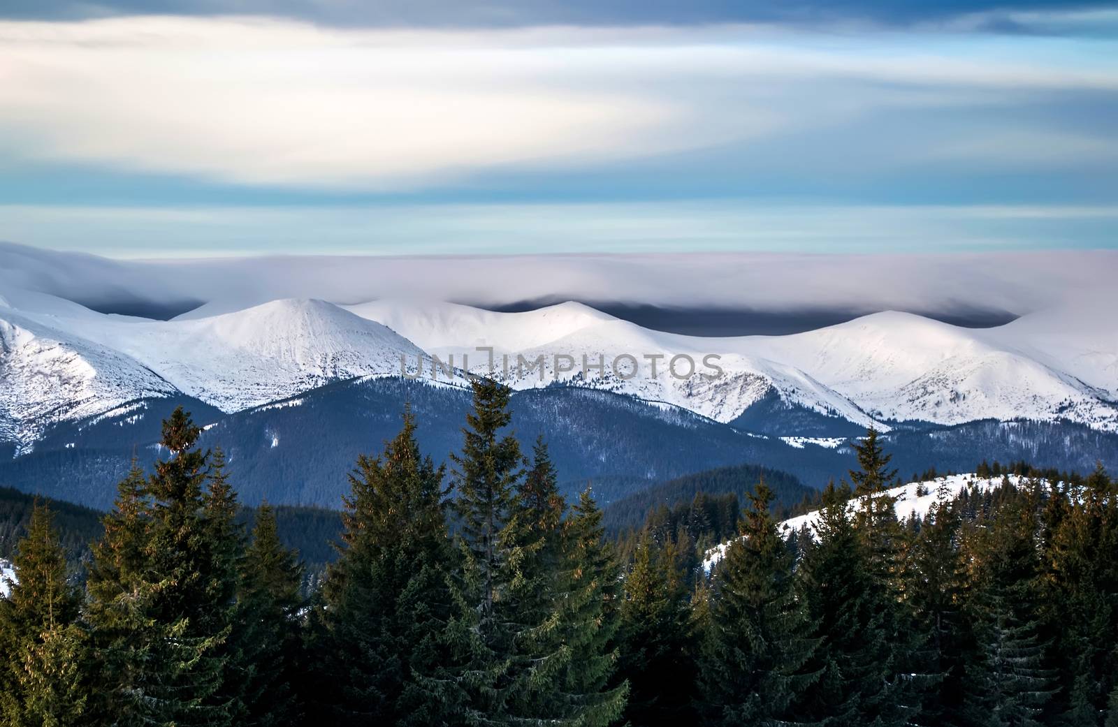 Winter landscape of a snowy mountain range under dark heavy clouds. Dramatic skyline. Green trees in the foreground