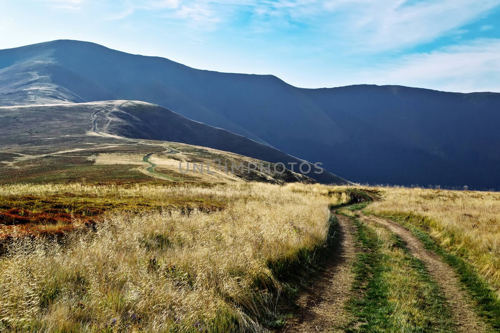 Mountain autumn landscape with a road that starts in the foreground and ends at the top of the mountain. A yellow grass. Blue Ridge. Sunshine. Carpathian Ukraine