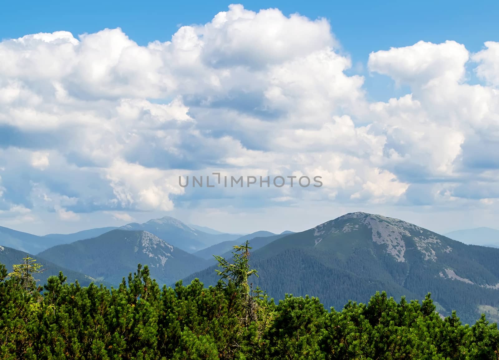 Mountain ranges under the clouds. Summer. Ukrainian Carpathians