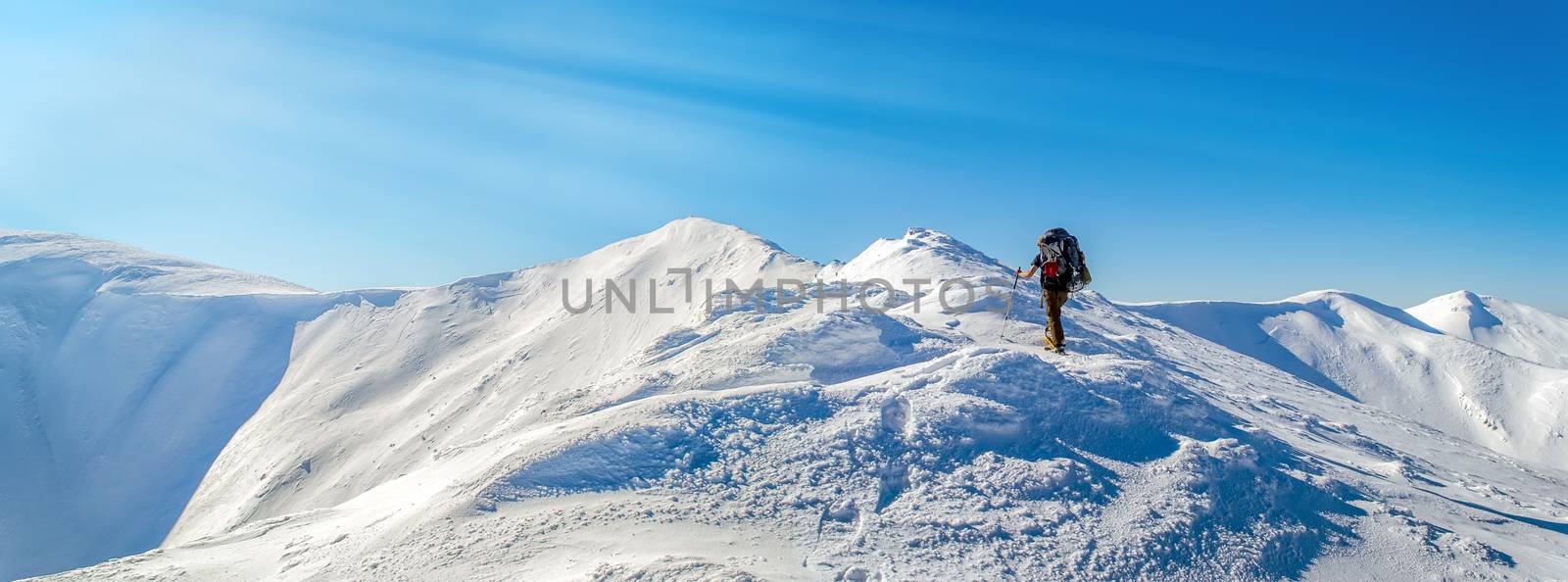 Tourist rises to the top of the snowy ridge. The sky is clear, sunny. Winter. Ukrainian Carpathian Mountains. With sun rays