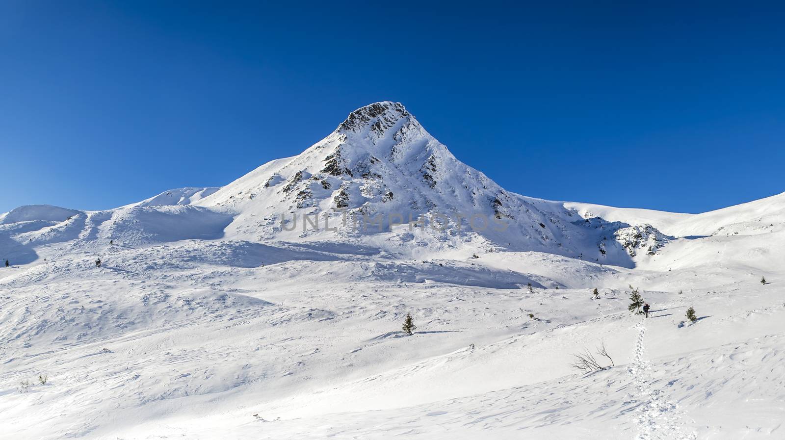 Winter view of the mountain summit. Tourist walking on the trail. The sky is clear, sunny. Winter. Ukrainian Carpathian Mountains