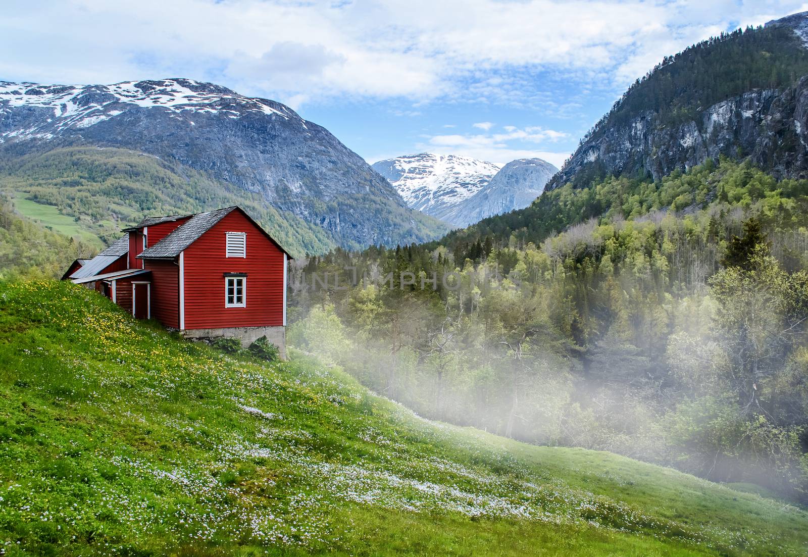 Red wooden cottage in the foggy valley. Green grass, white flowers. Stone snowy mountains. Stalheim, Norway. Mist.