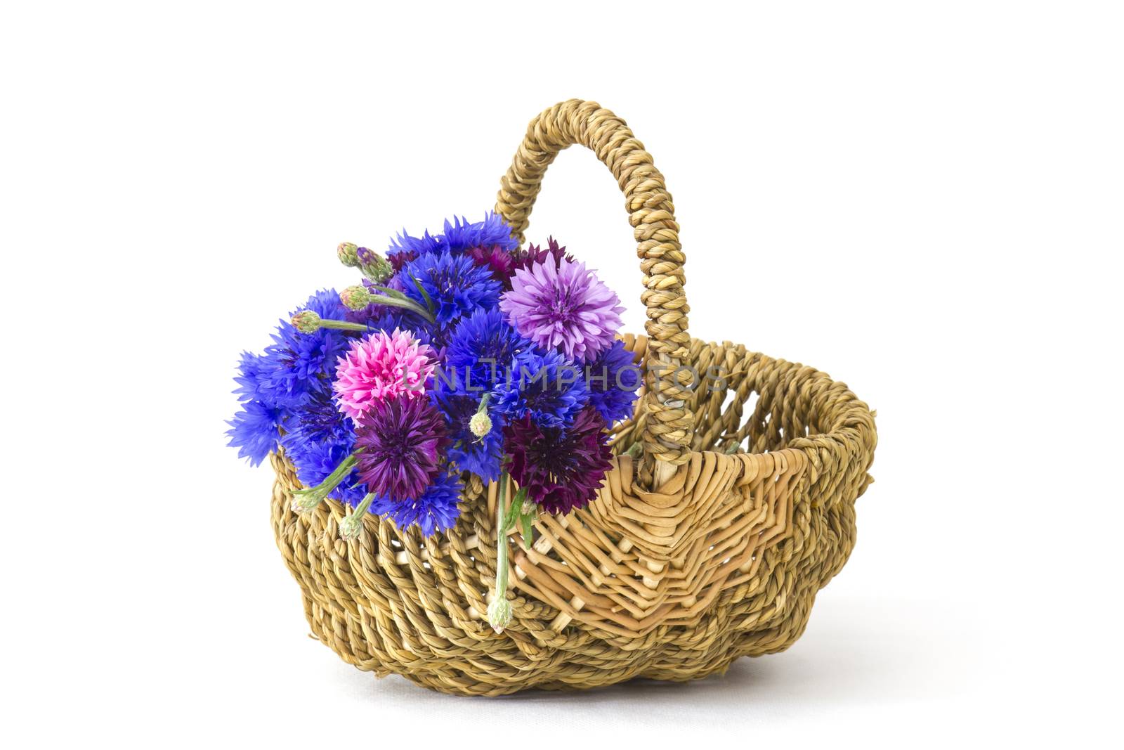 cornflowers in a basket on white background