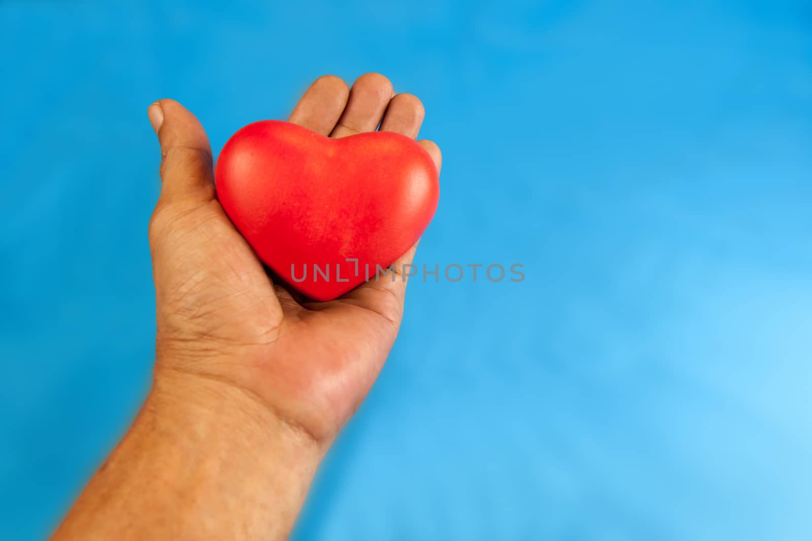 handle with heart care. Hand holding a red heart. isolated blue background with clipping Paths