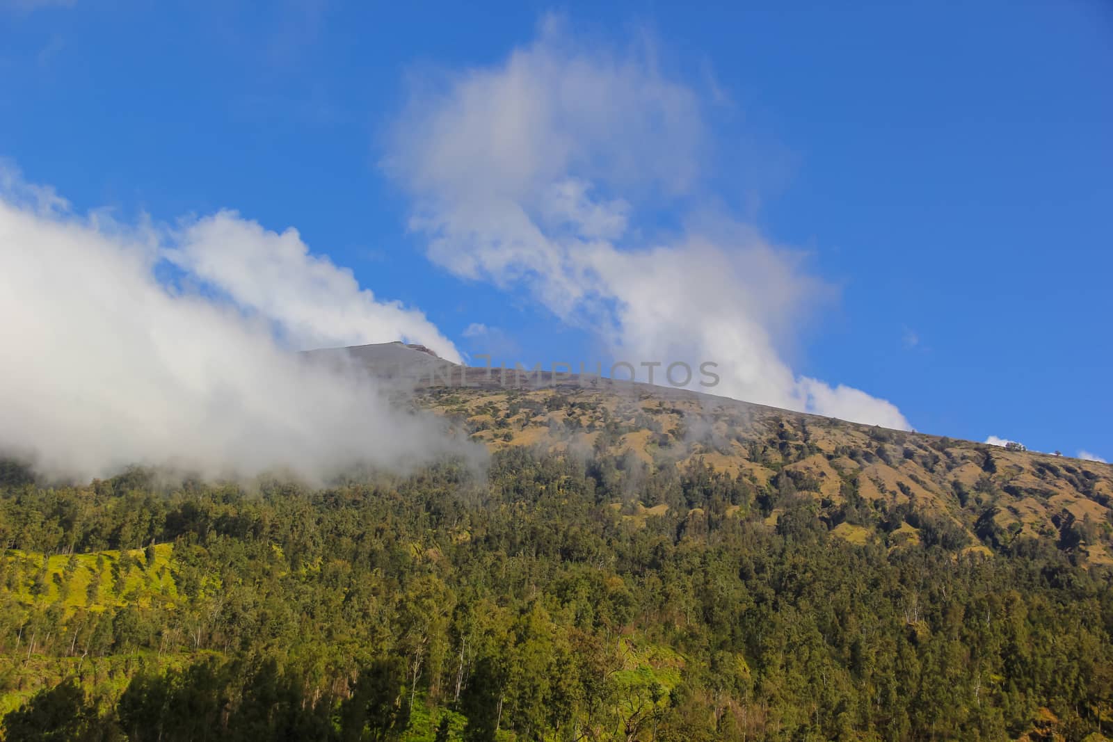 Landscape on mountain with grass and cloud