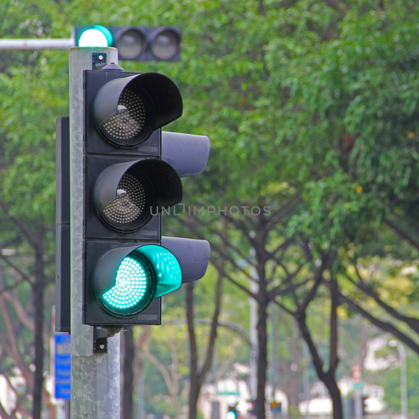 Traffic light while on the green signal
