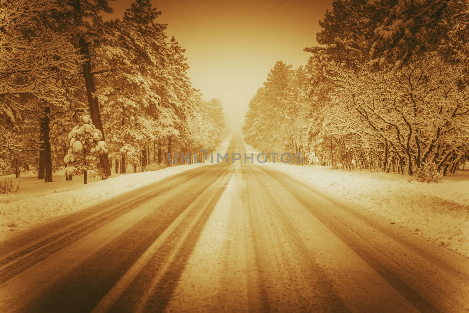 Scenic Winer Road in Sepia. Winter Driving Conditions. Forest Road.