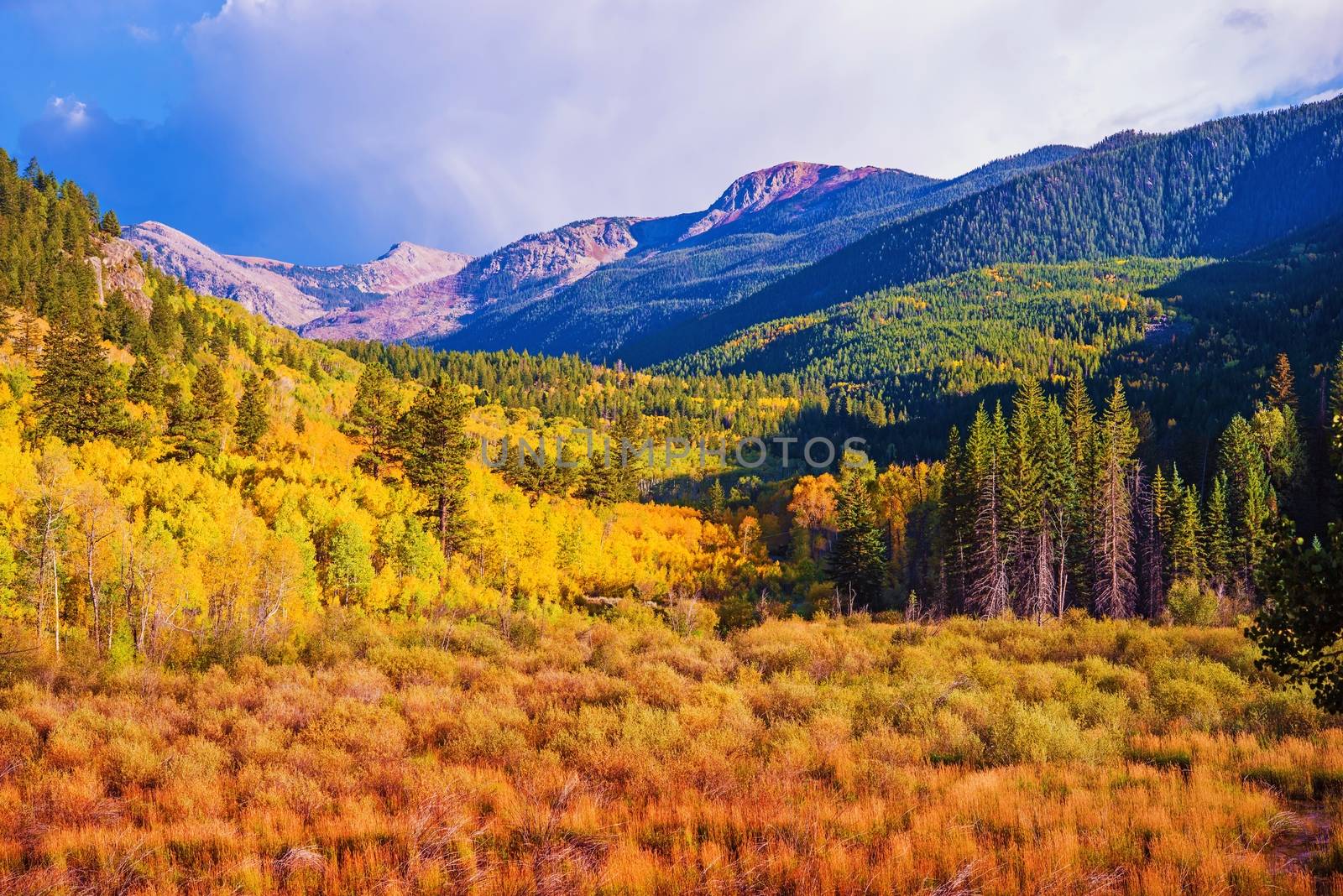 Scenic Aspen Lanscape. Colorado Rocky Mountains. Aspen, Colorado, United States.