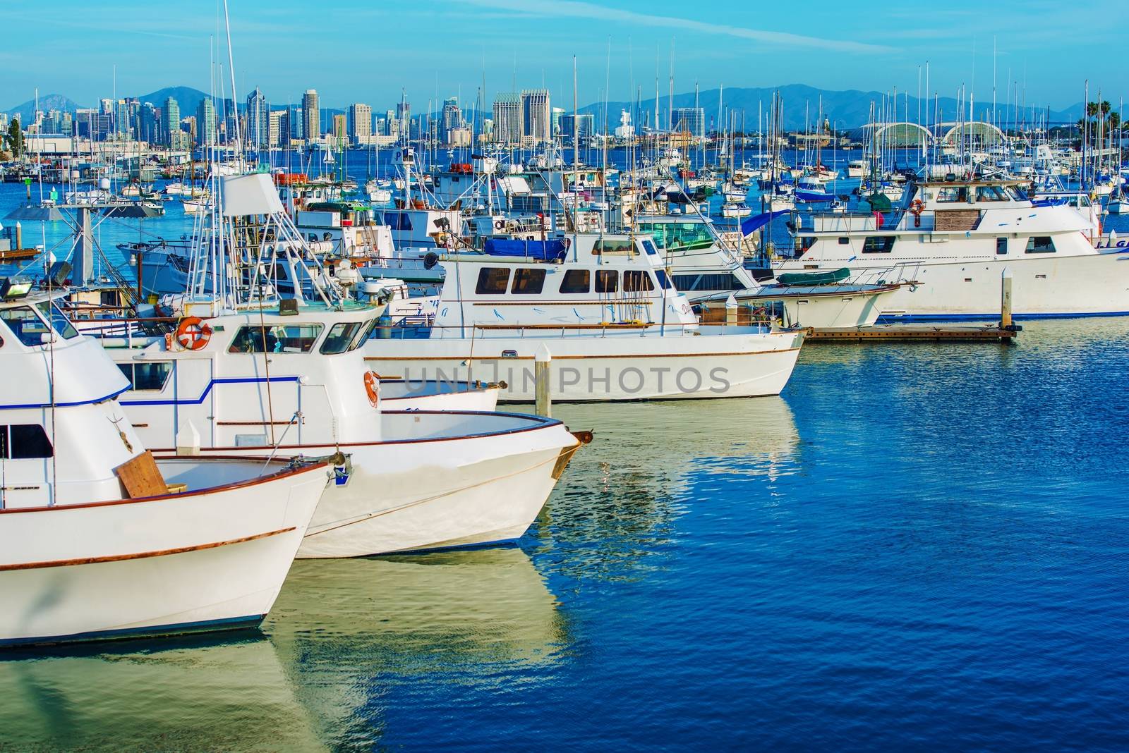 San Diego Marina and the Skyline. San Diego, California, United States.